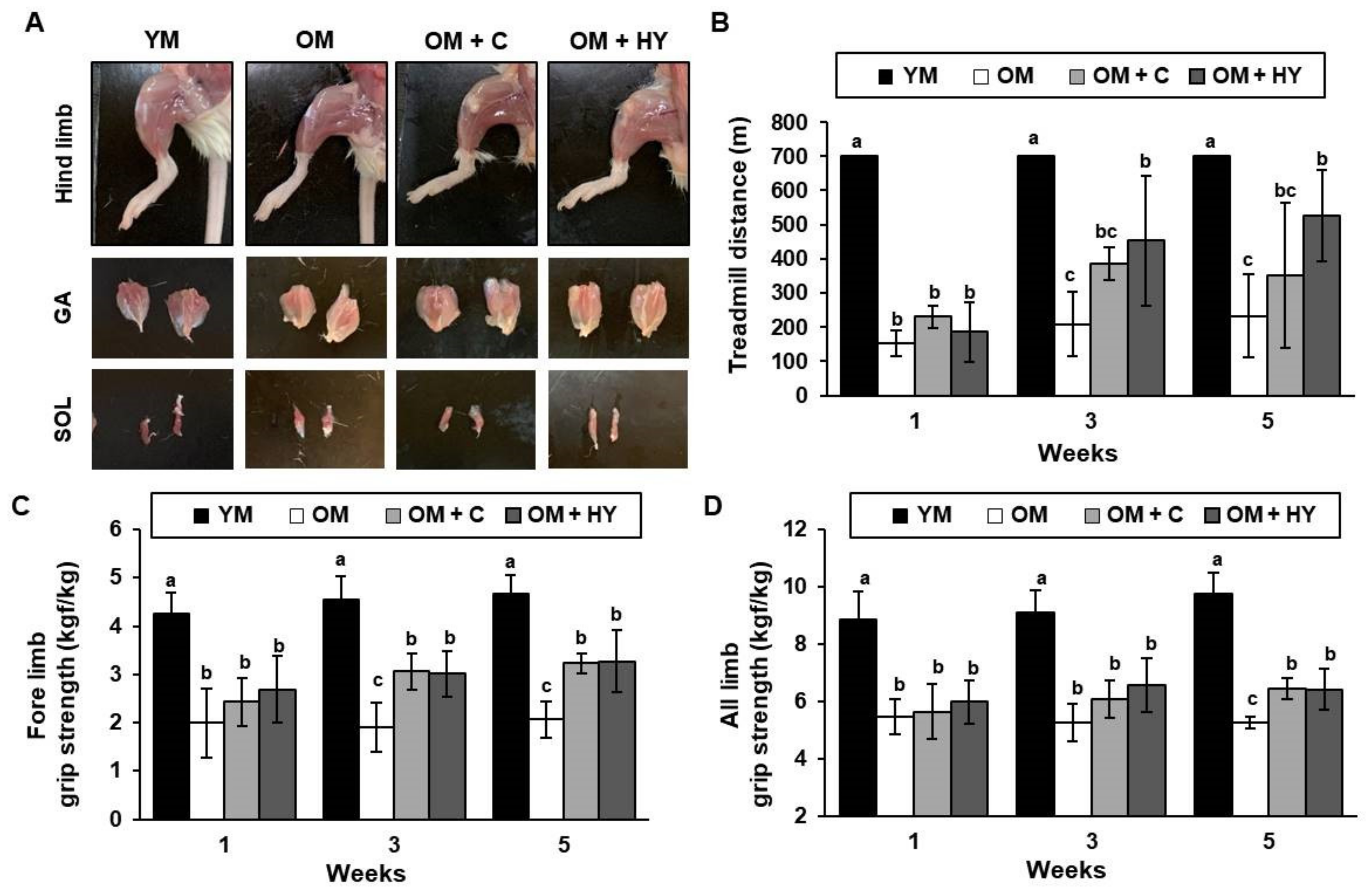 Ijms 22 10023 g002 Ijms 22 10023 g002