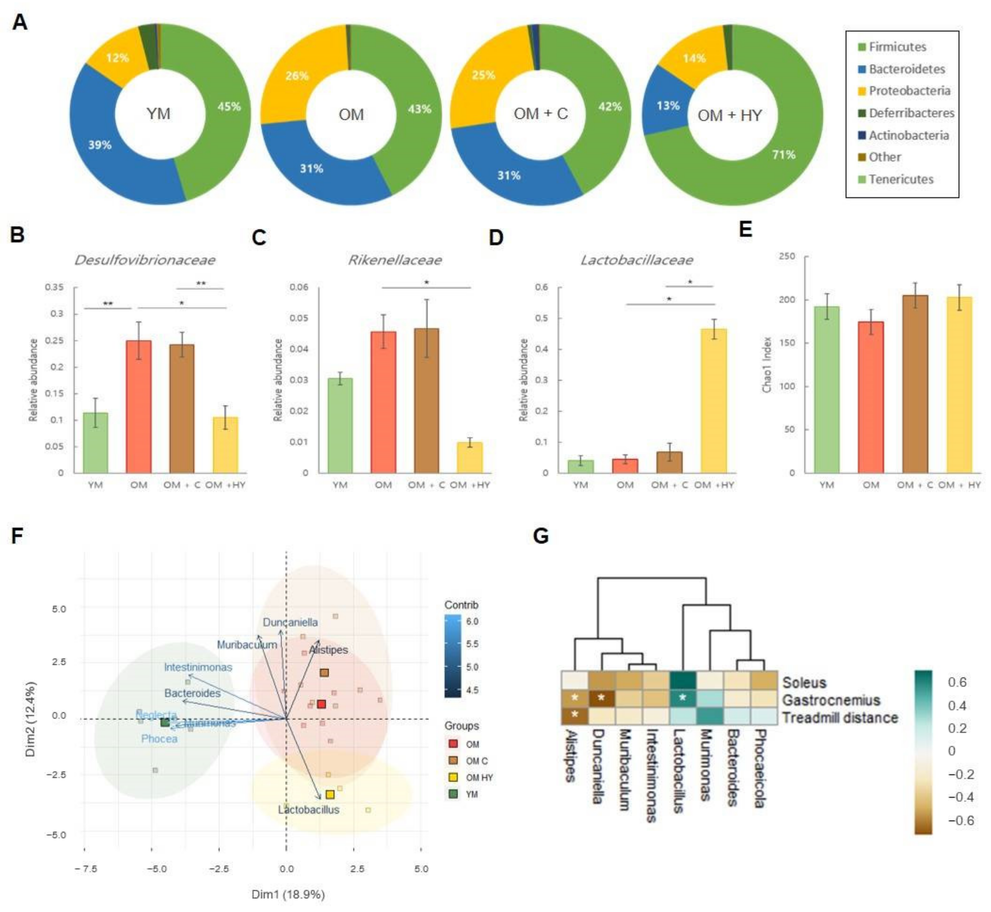 Ijms 22 10023 g007 Ijms 22 10023 g007