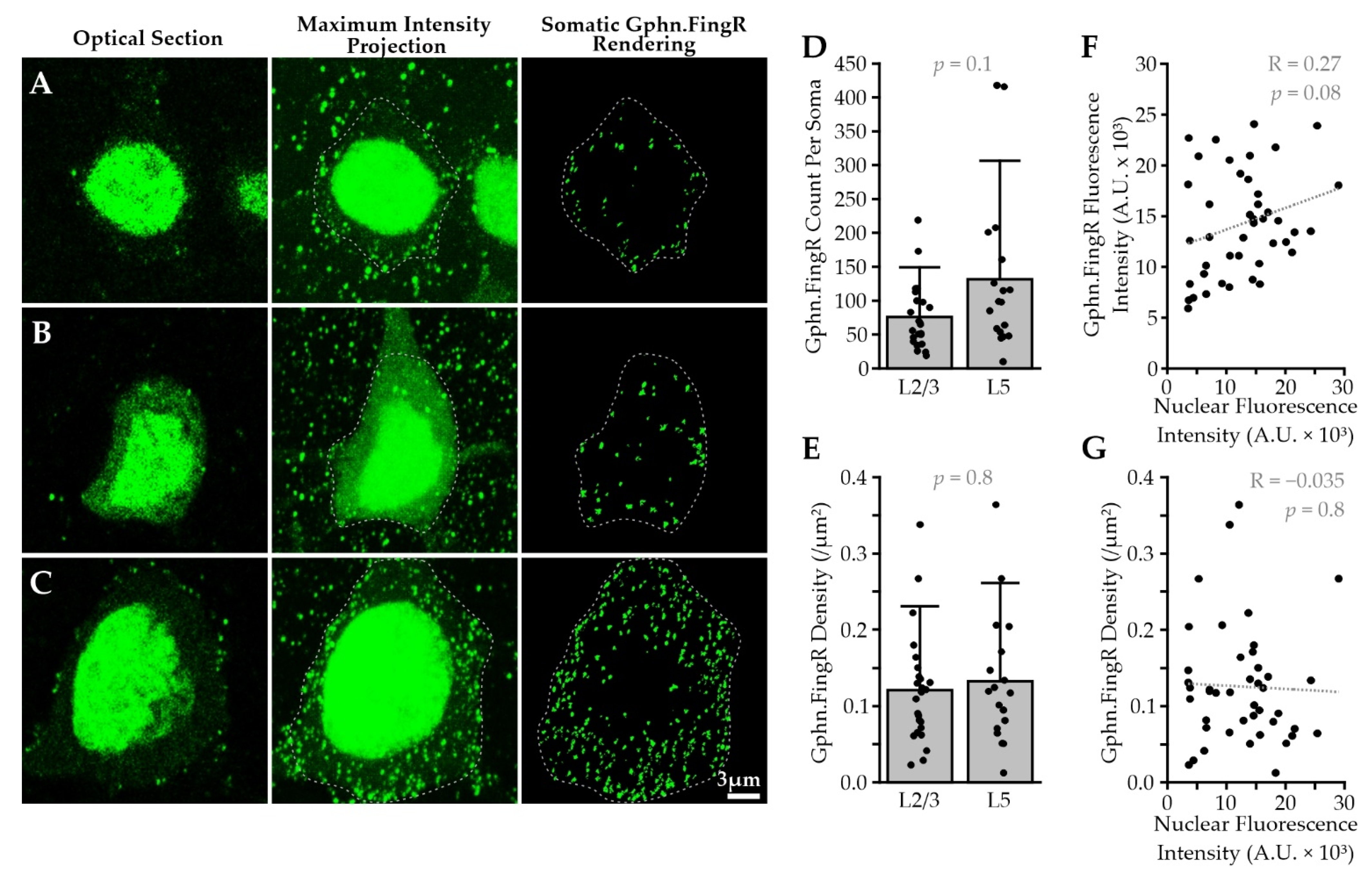 Ijms 22 10032 g002 Ijms 22 10032 g002