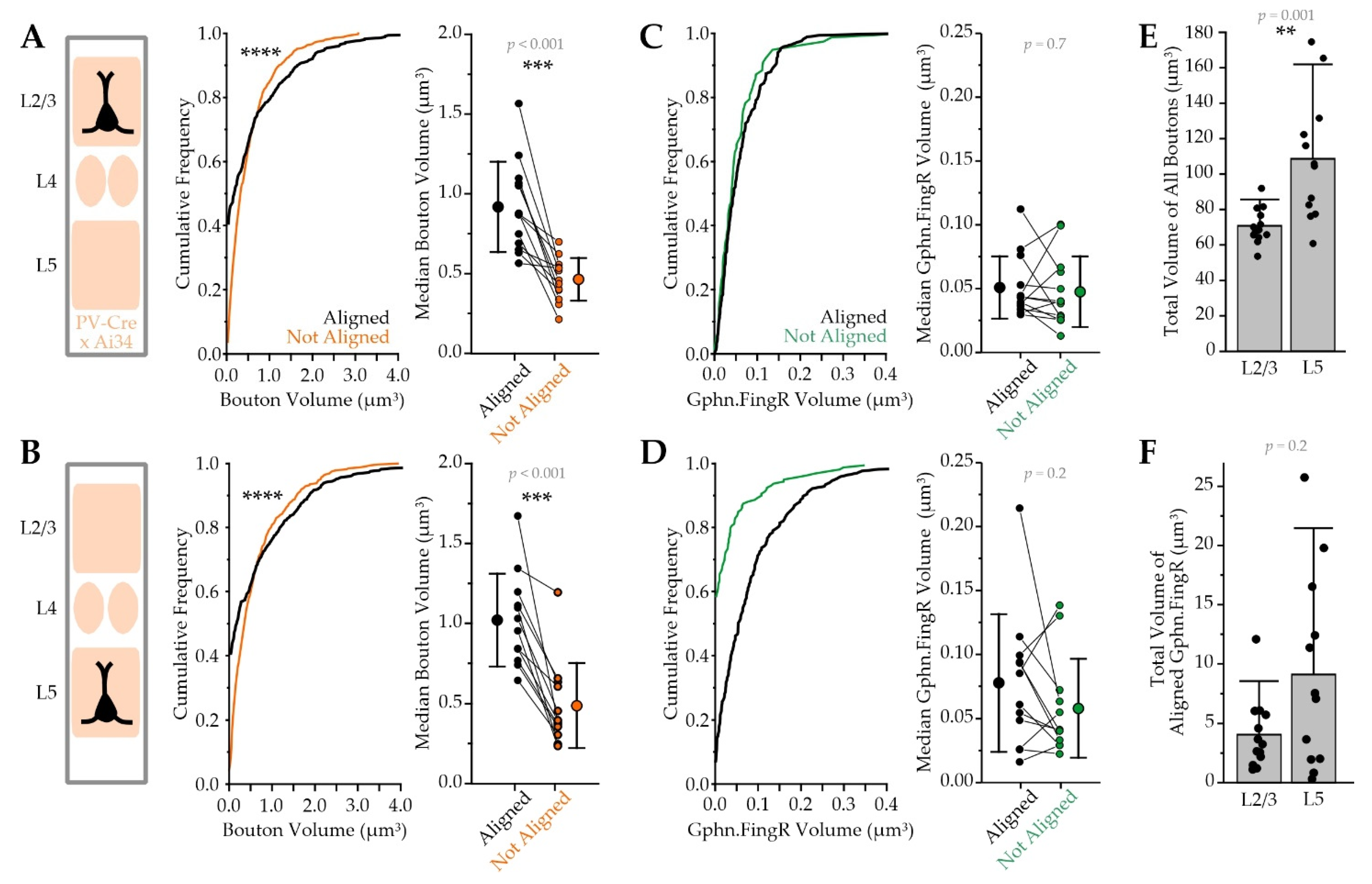 Ijms 22 10032 g008 Ijms 22 10032 g008