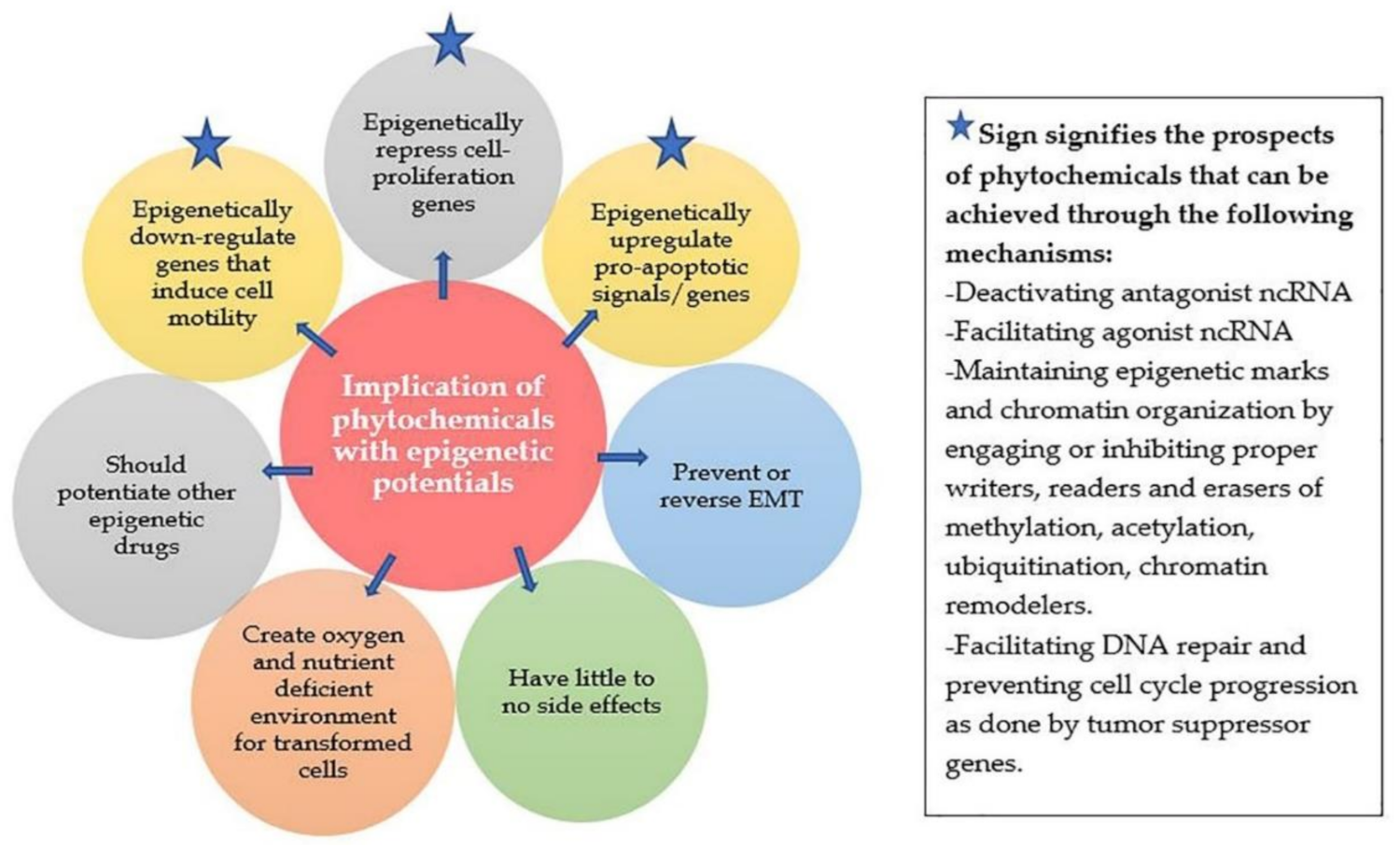 Ijms 22 10033 g002 Ijms 22 10033 g002