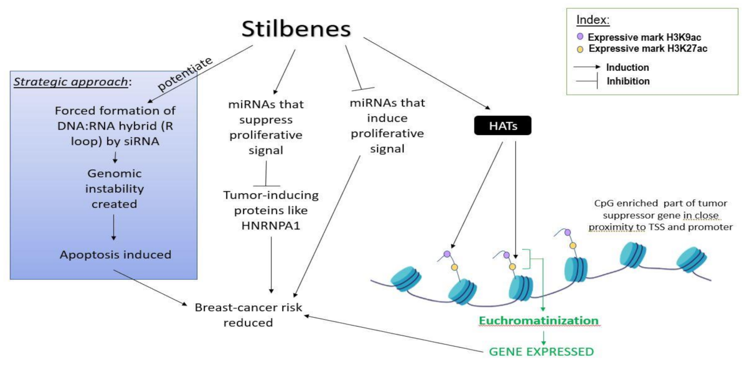 Ijms 22 10033 g004 Ijms 22 10033 g004