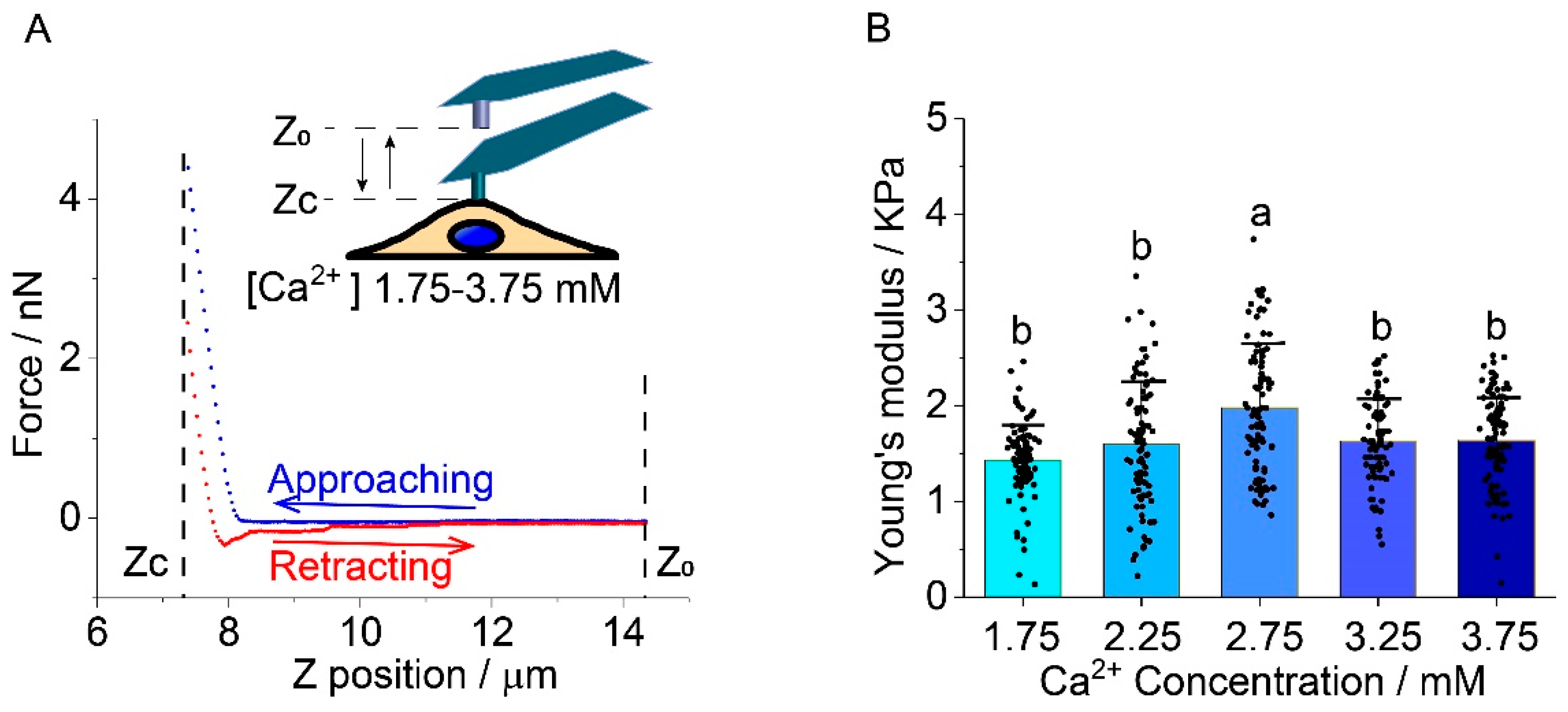 Ijms 22 10034 g001 Ijms 22 10034 g001