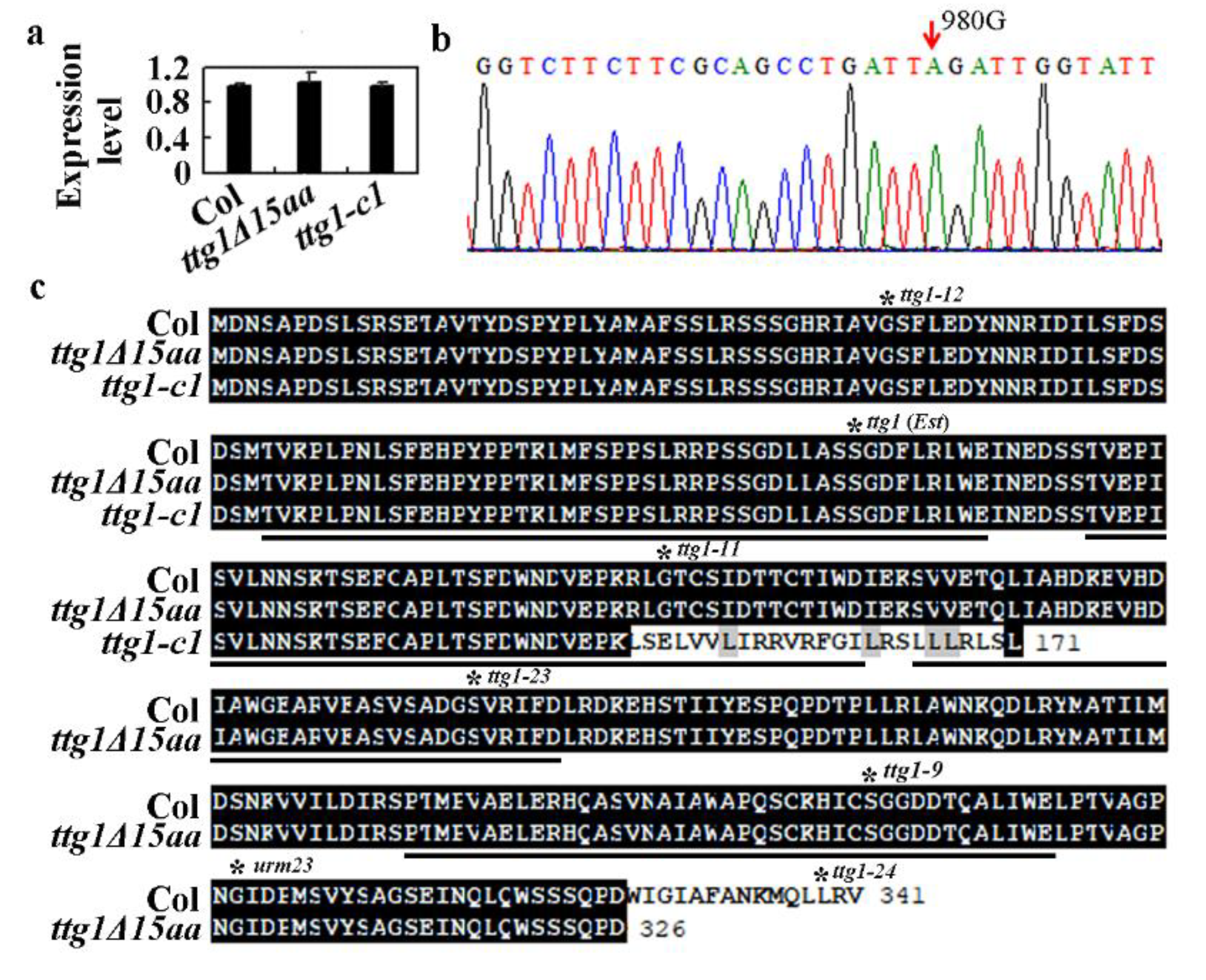 Ijms 22 10039 g002 550