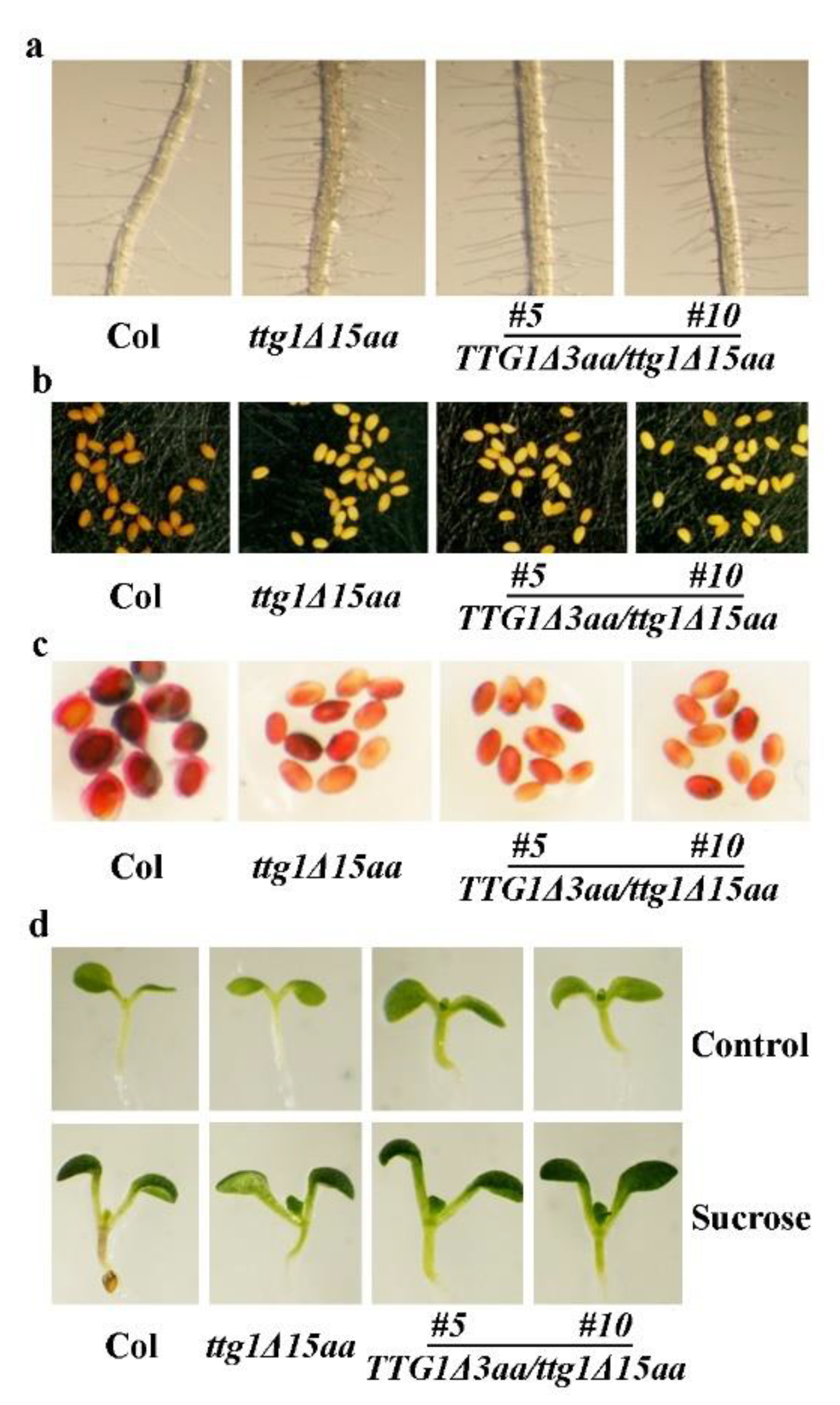 Ijms 22 10039 g009 550