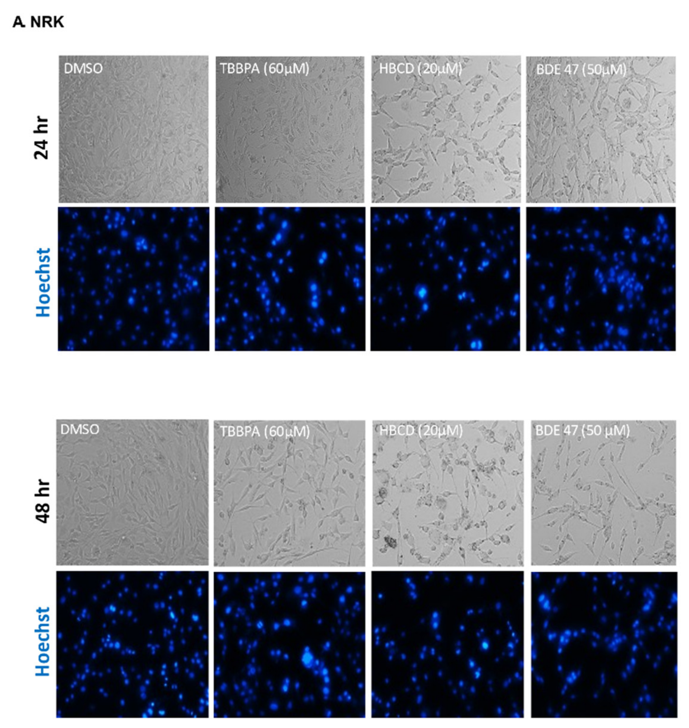 Ijms 22 10044 g002a 550