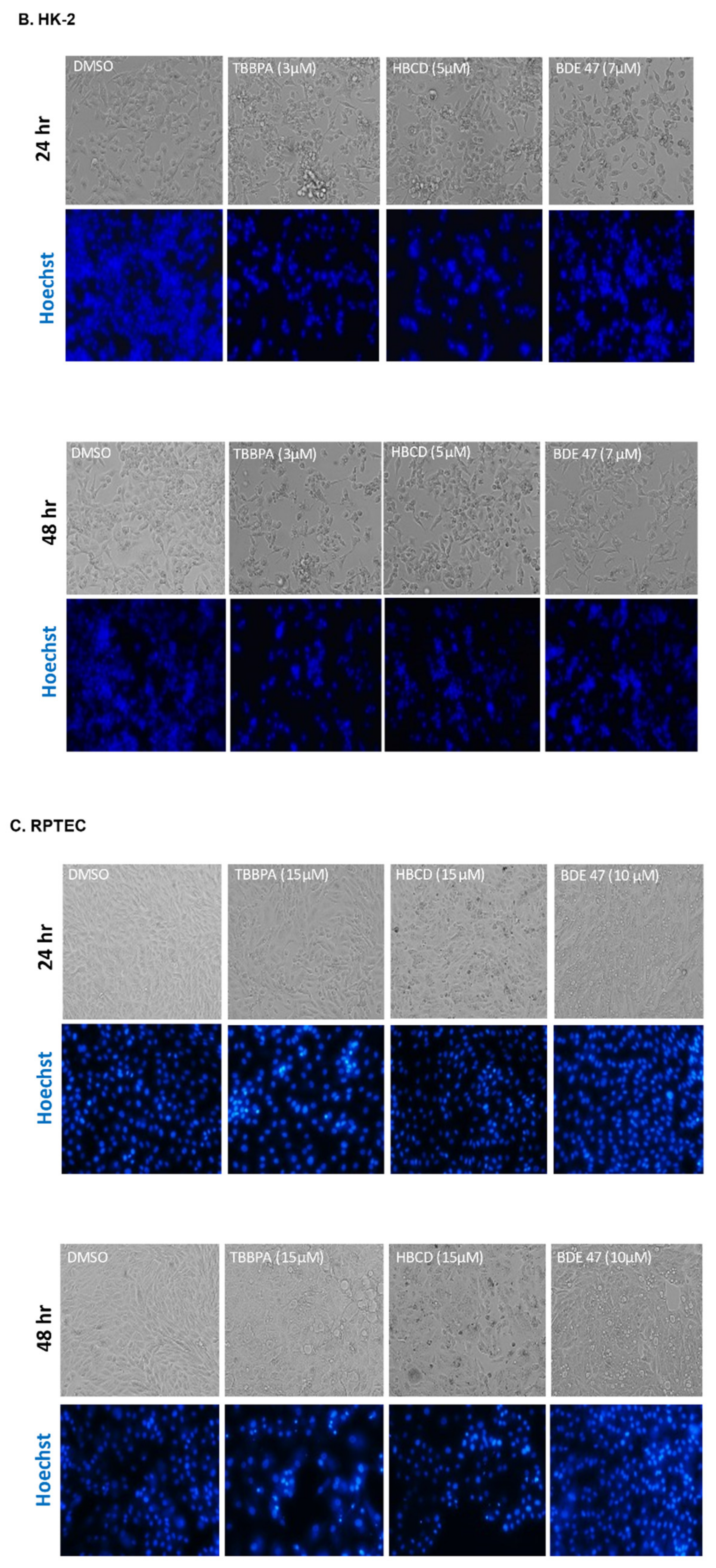 Ijms 22 10044 g002b 550