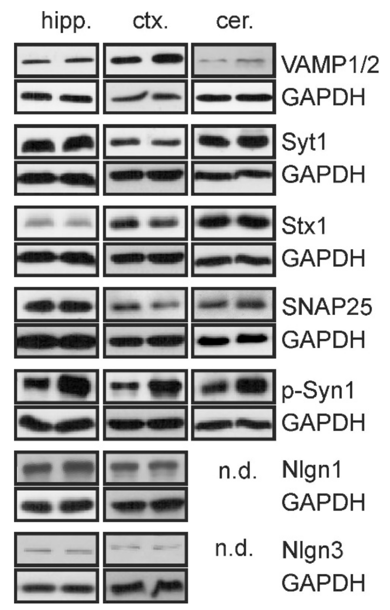 Ijms 22 10058 g002 Ijms 22 10058 g002