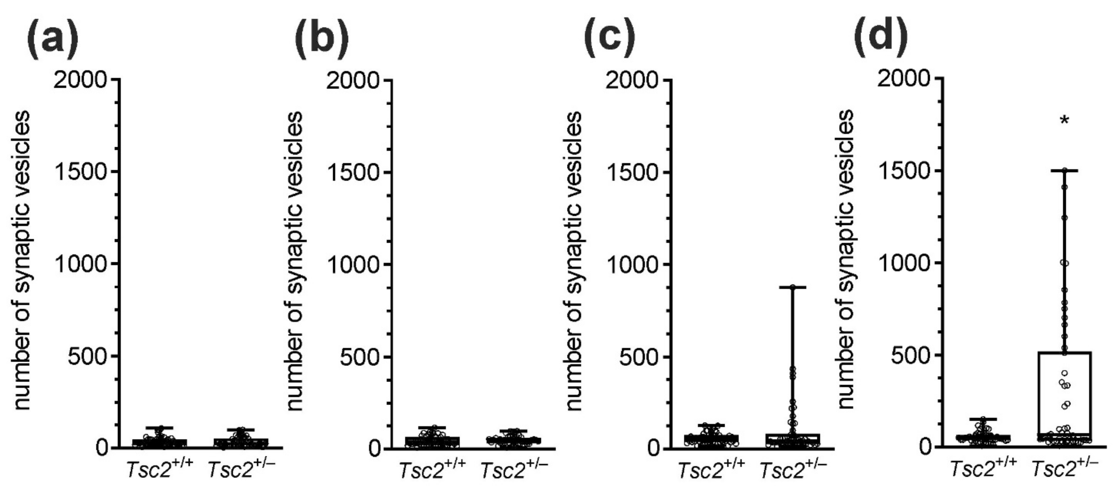 Ijms 22 10058 g006 Ijms 22 10058 g006