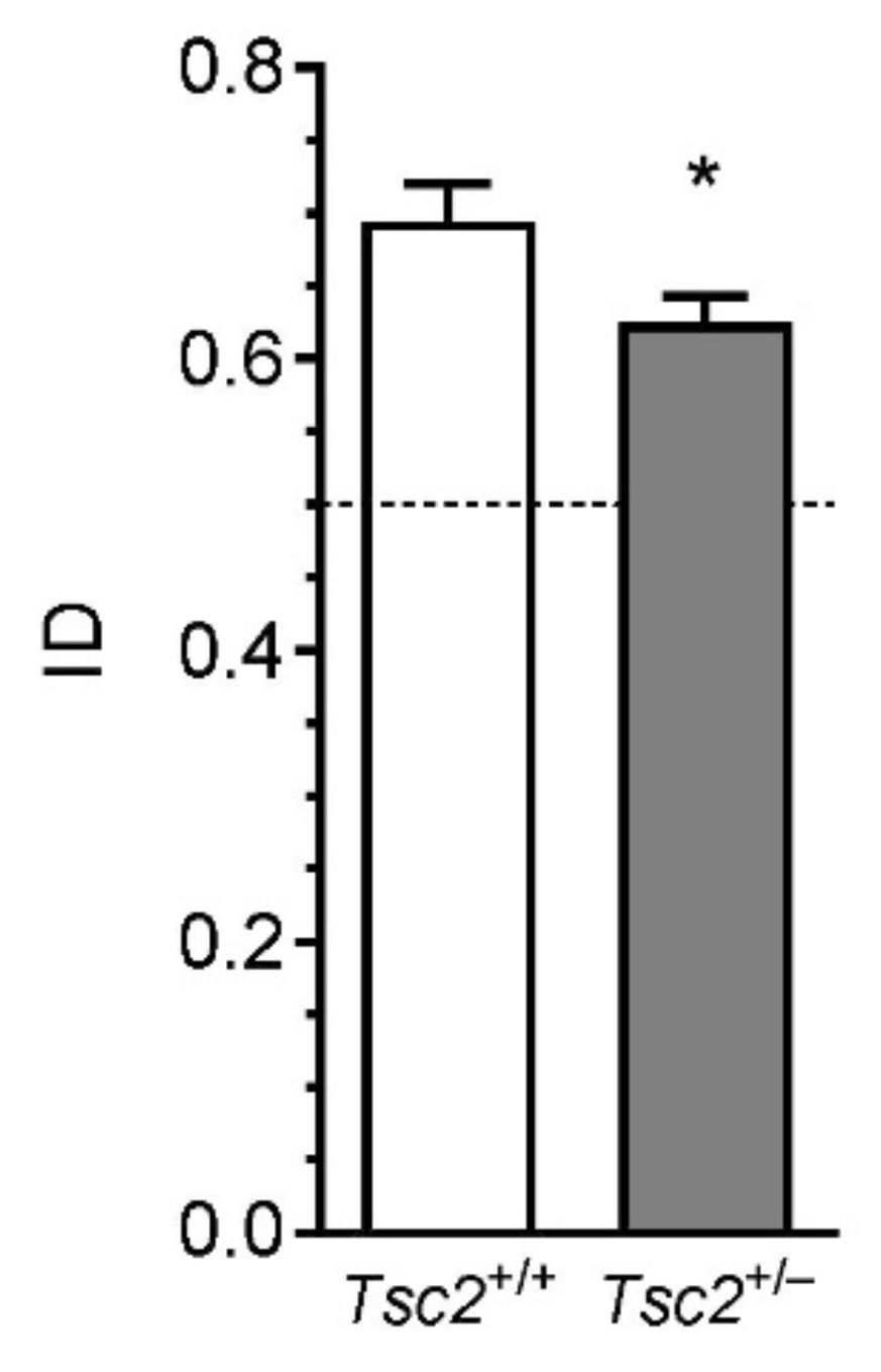 Ijms 22 10058 g009 Ijms 22 10058 g009