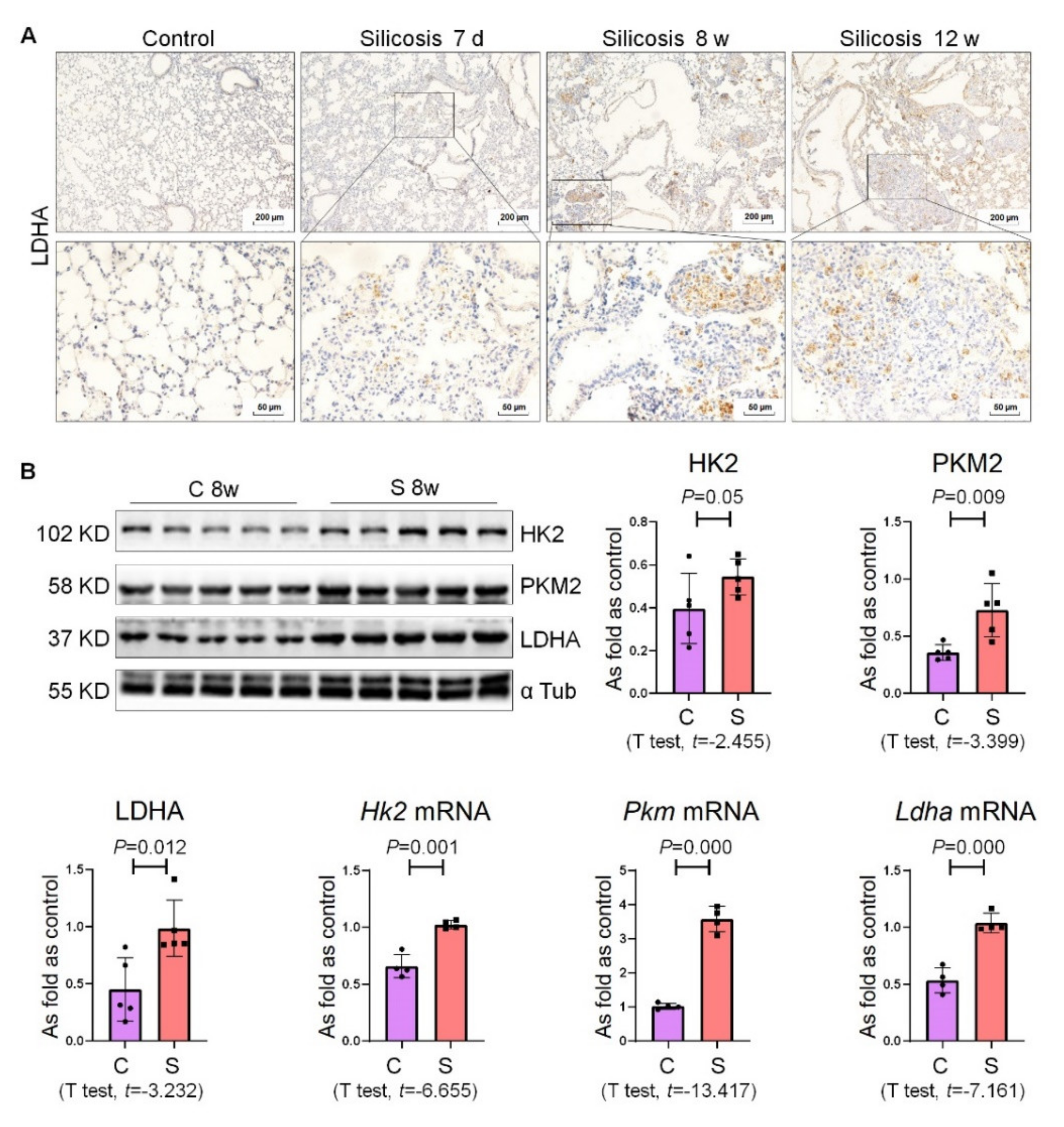 Ijms 22 10063 g003 550
