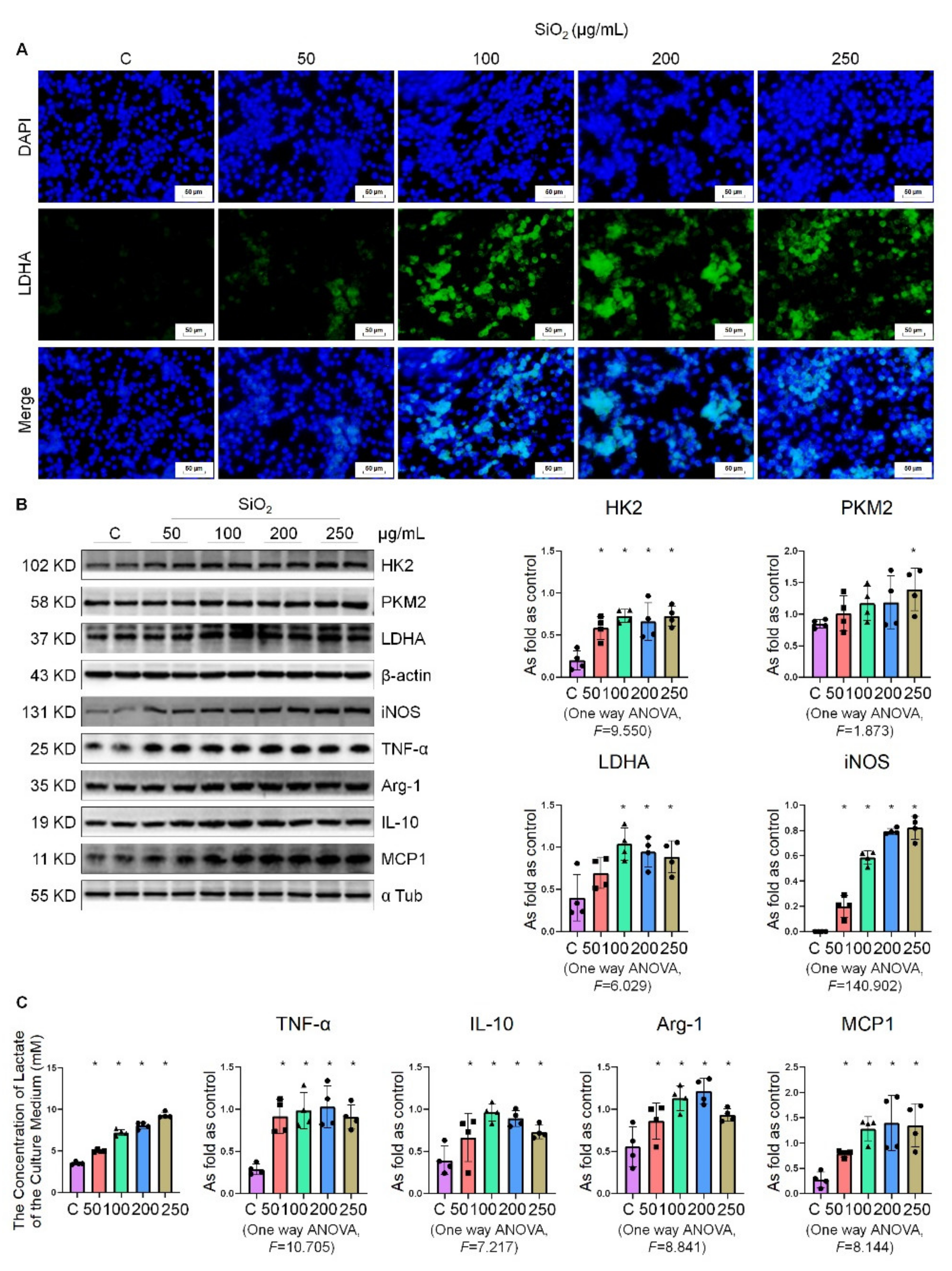Ijms 22 10063 g004 550