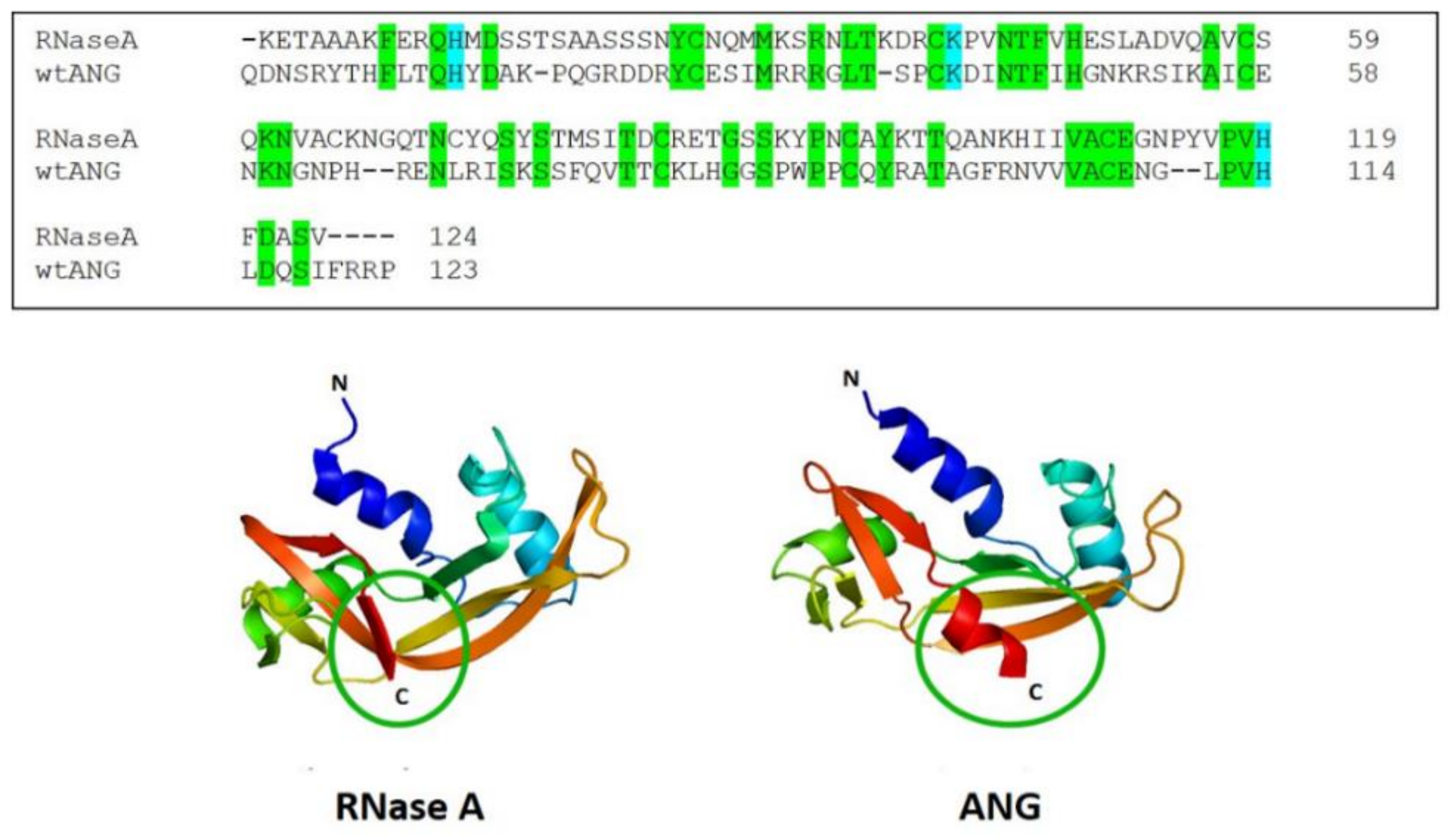 Ijms 22 10068 g001 550