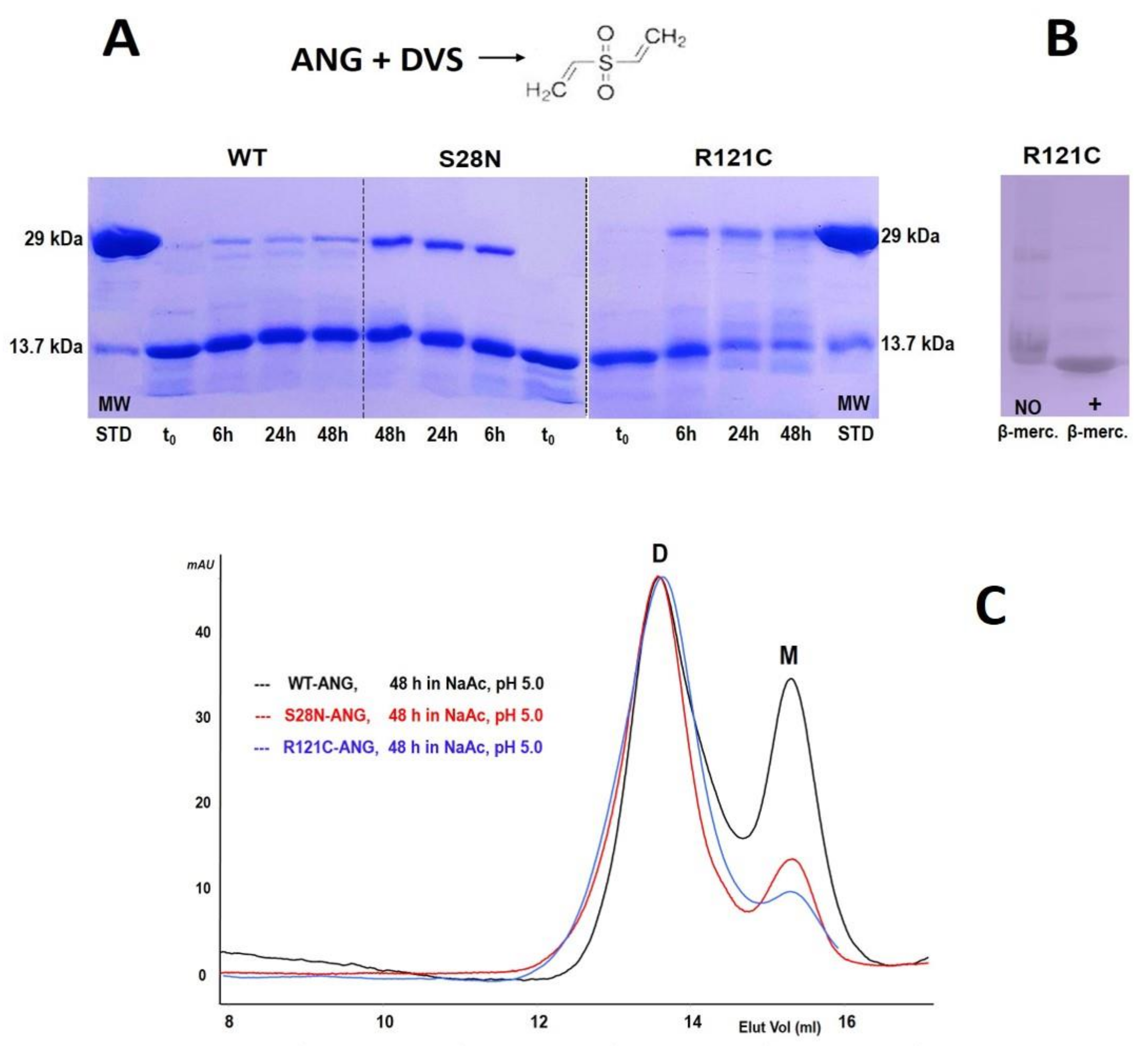 Ijms 22 10068 g004 550