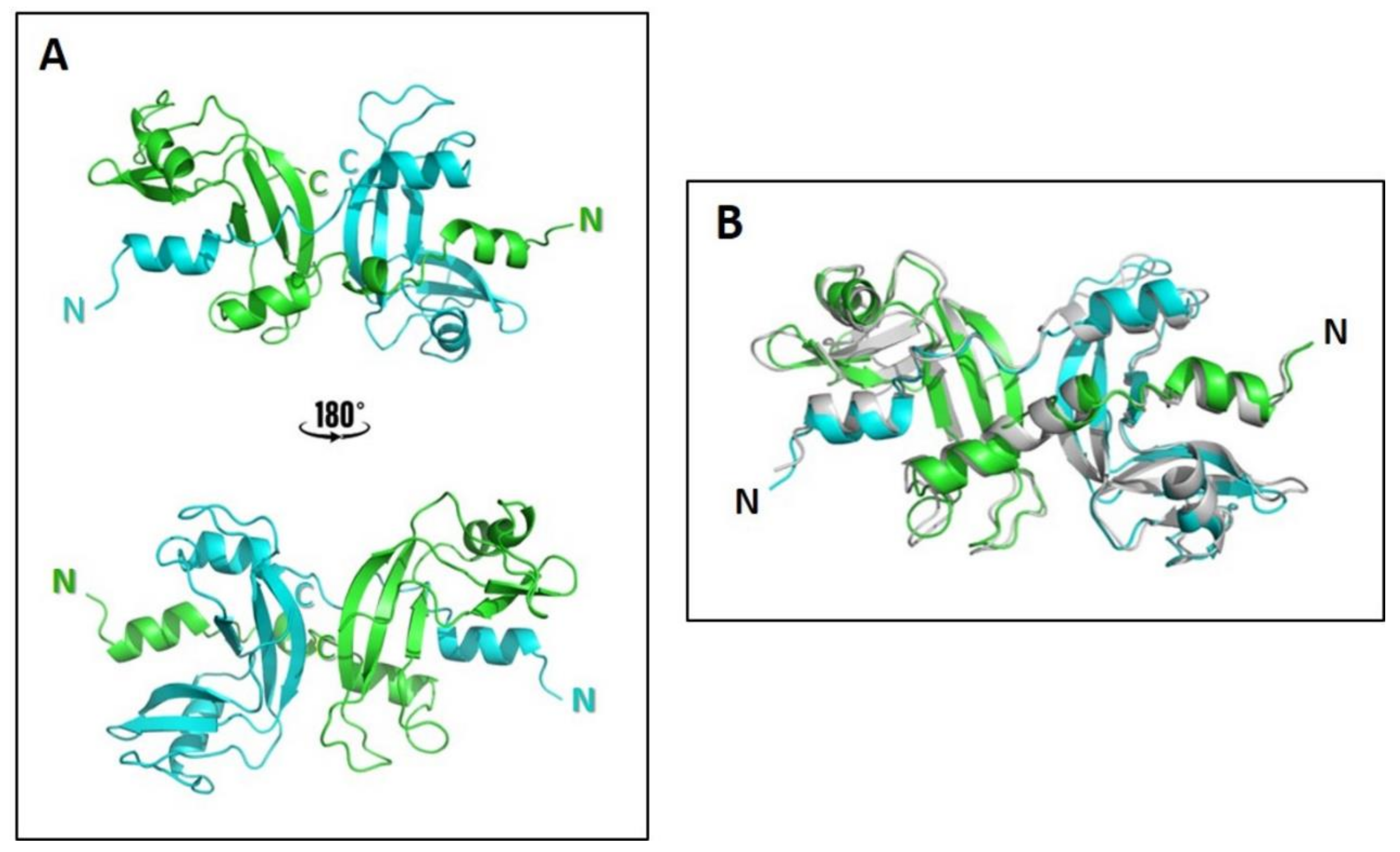 Ijms 22 10068 g006 550