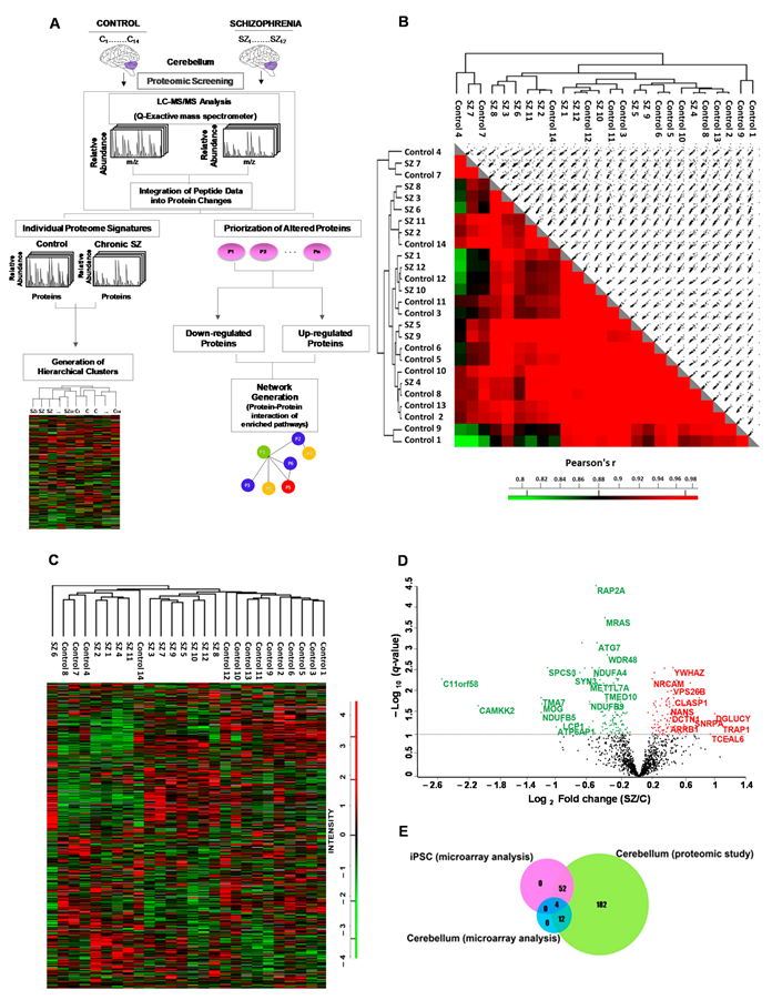 Ijms 22 10076 g001 550