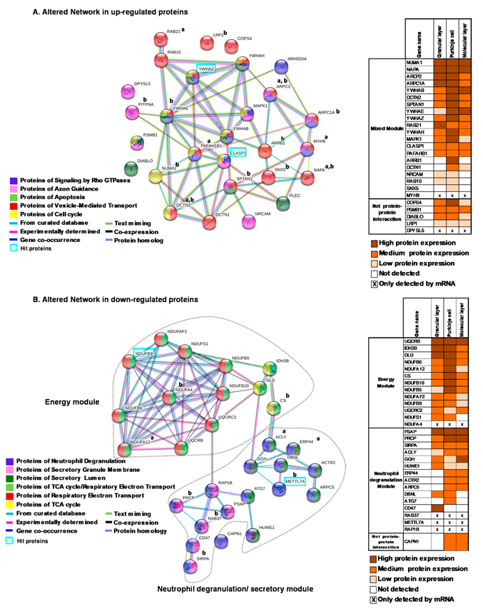 Ijms 22 10076 g003 550