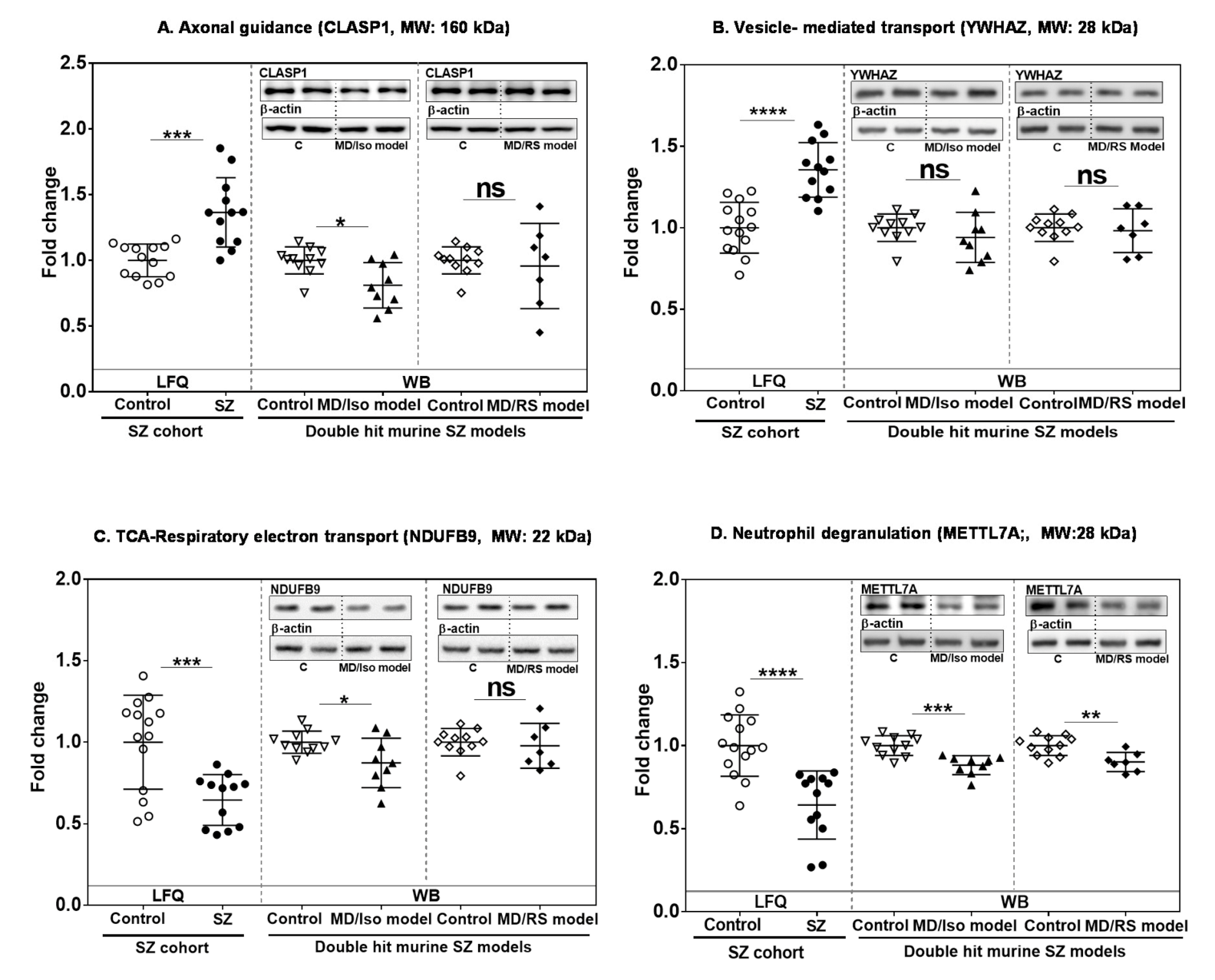 Ijms 22 10076 g004 550
