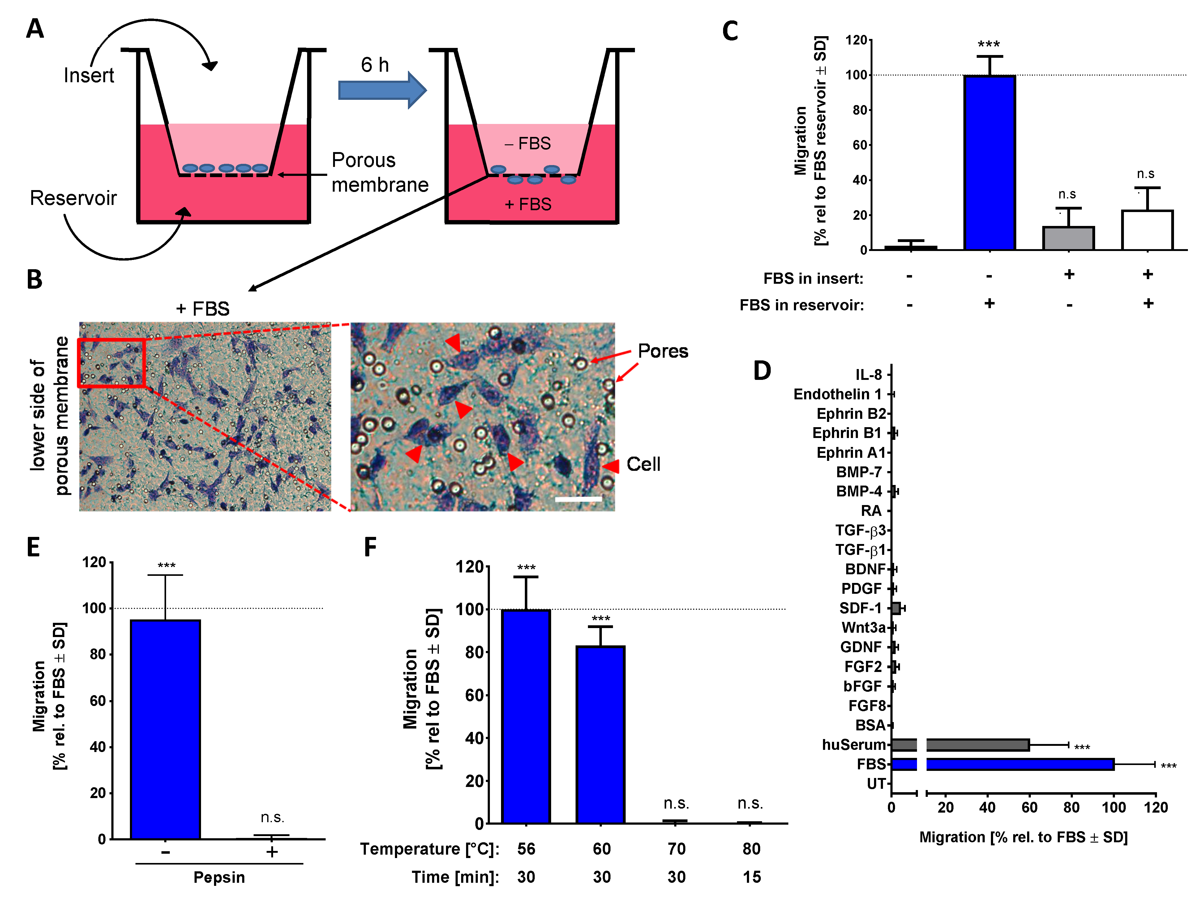 Ijms 22 10079 g001 Ijms 22 10079 g001