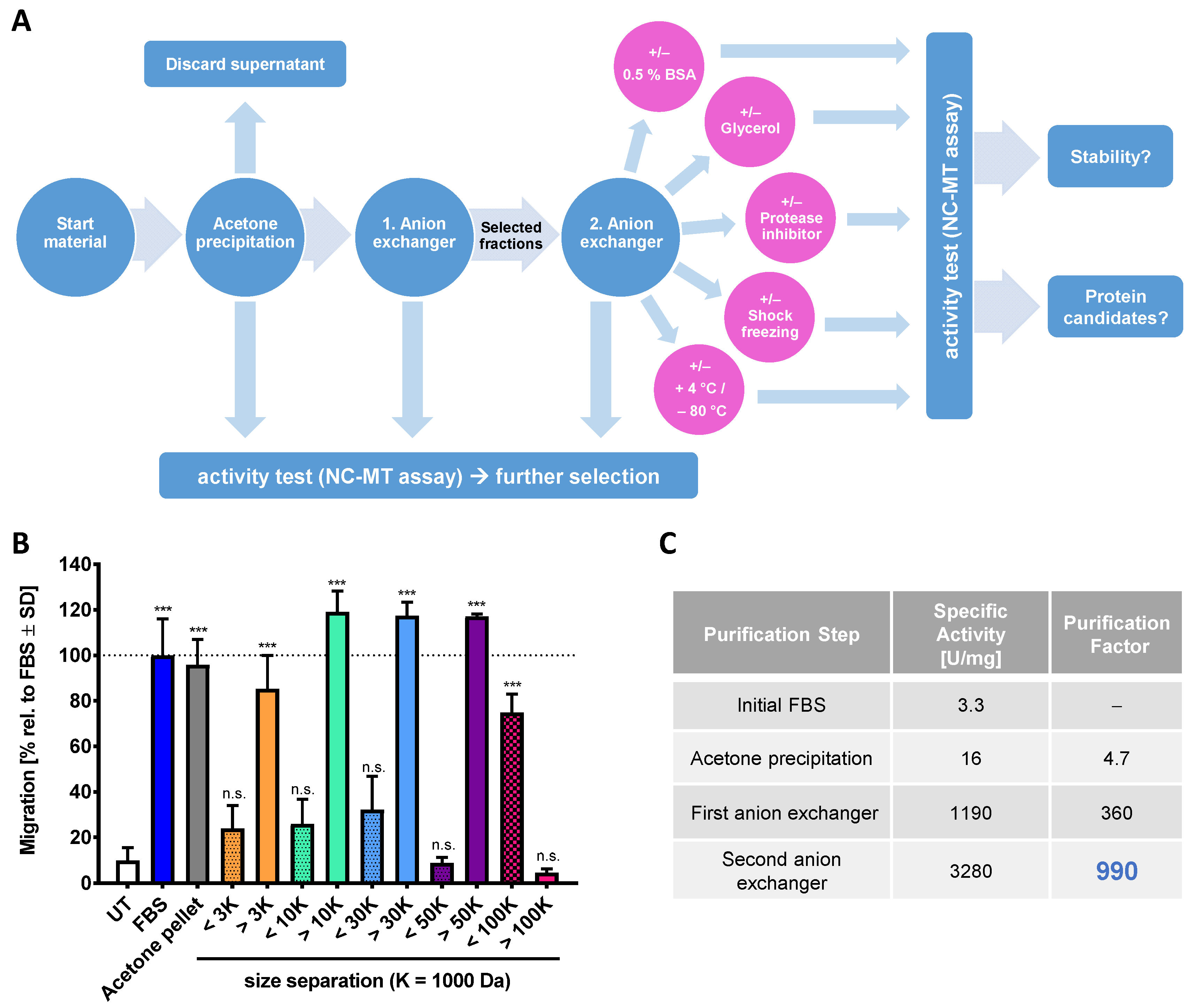 Ijms 22 10079 g002 Ijms 22 10079 g002