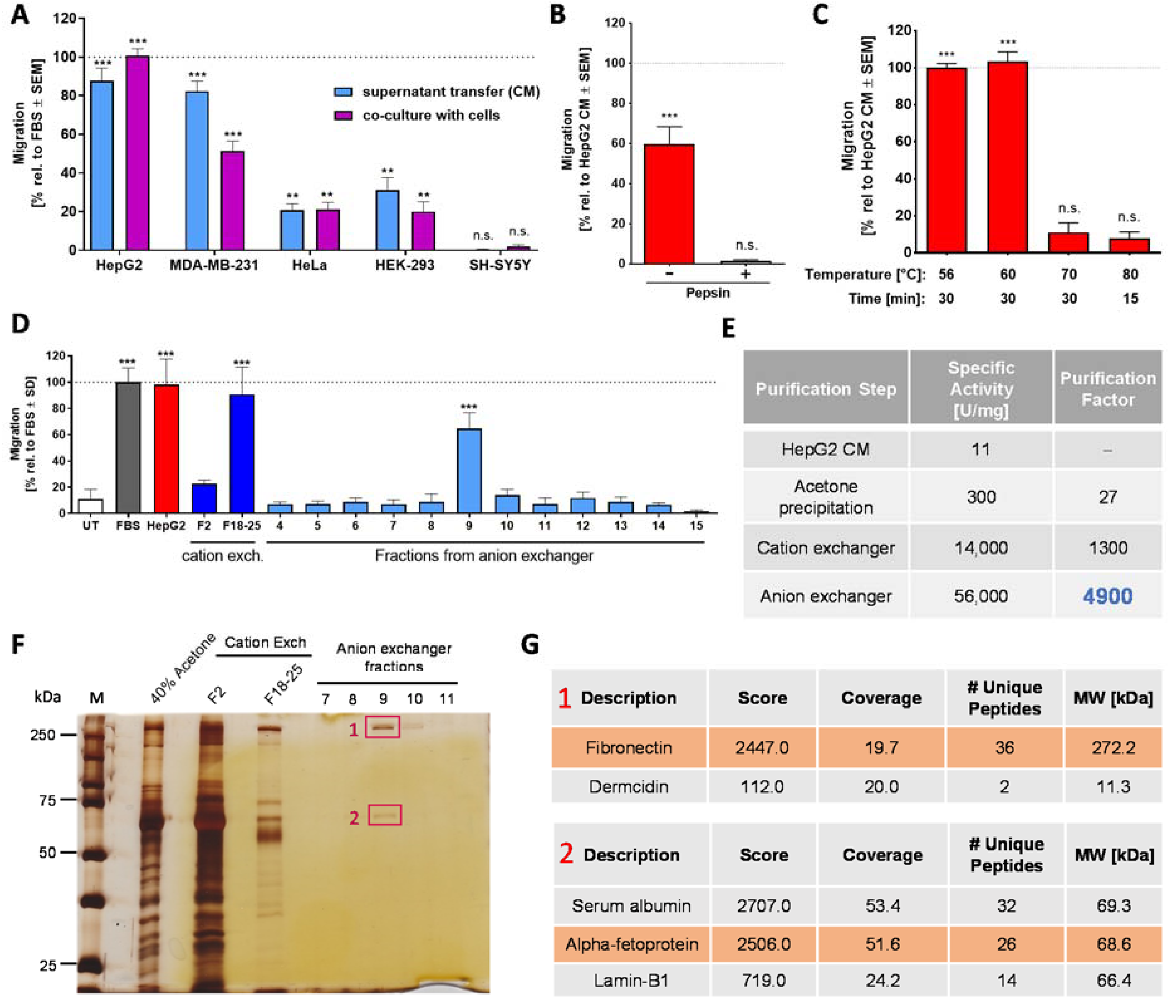 Ijms 22 10079 g003 Ijms 22 10079 g003