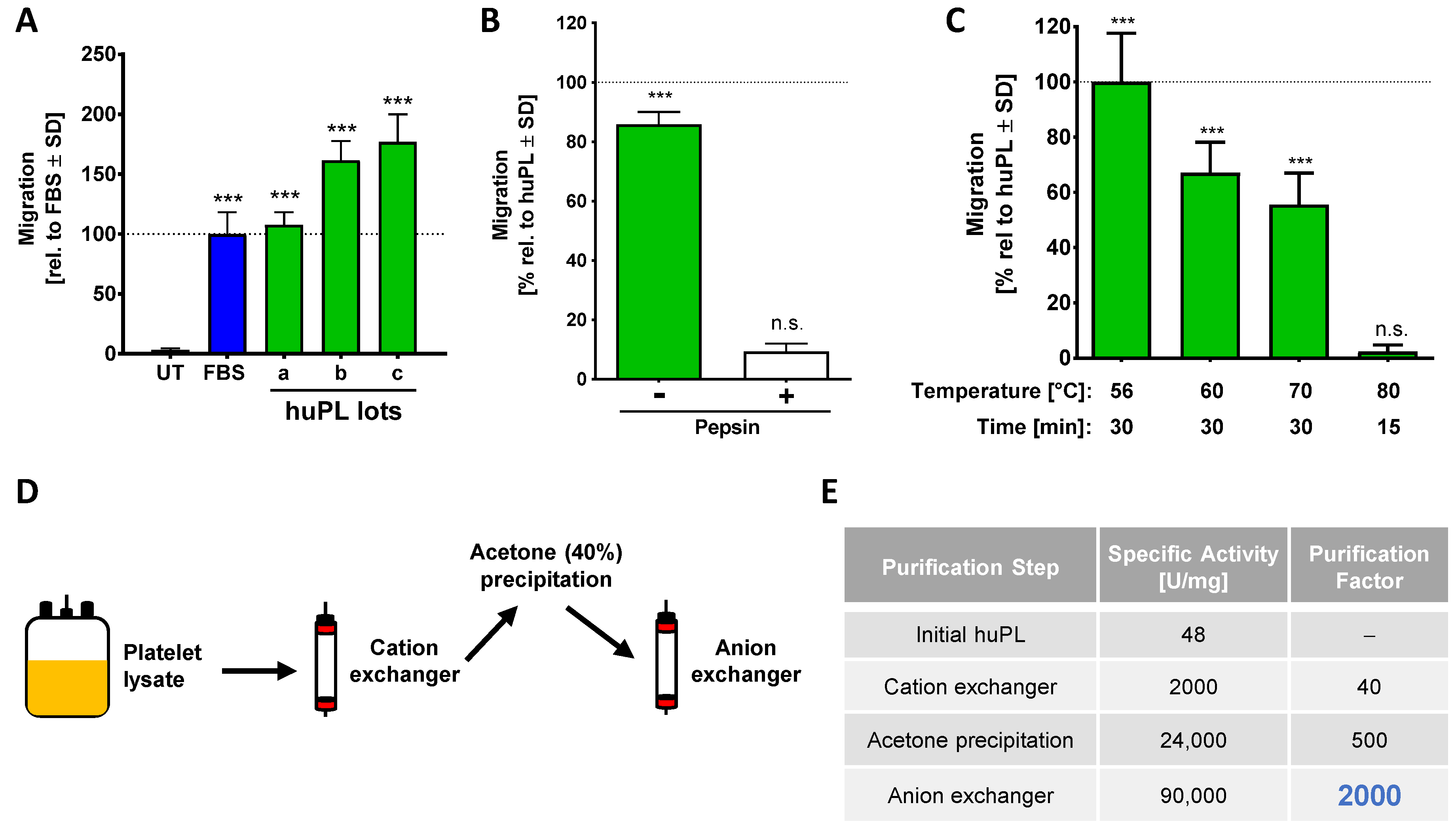 Ijms 22 10079 g004 Ijms 22 10079 g004