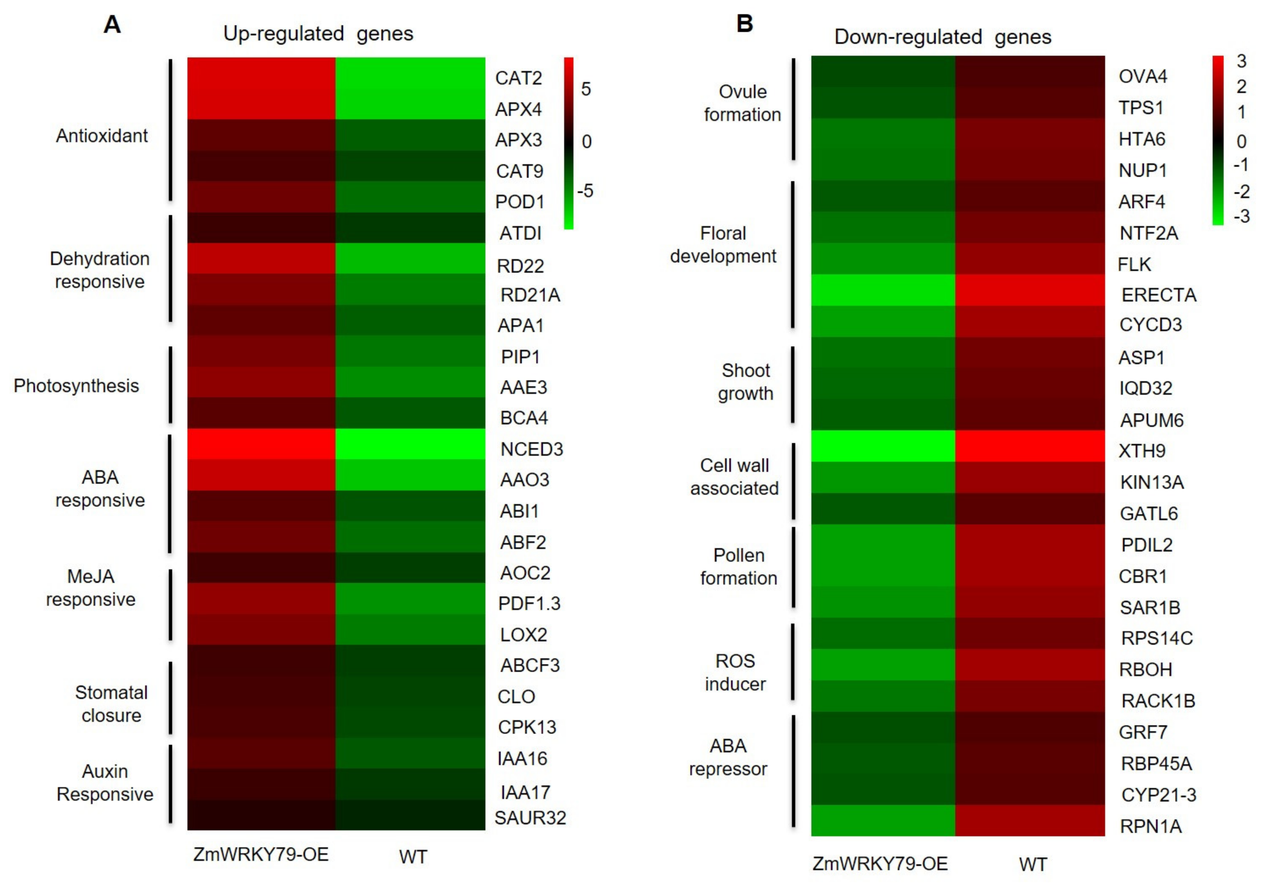 Ijms 22 10080 g006 550