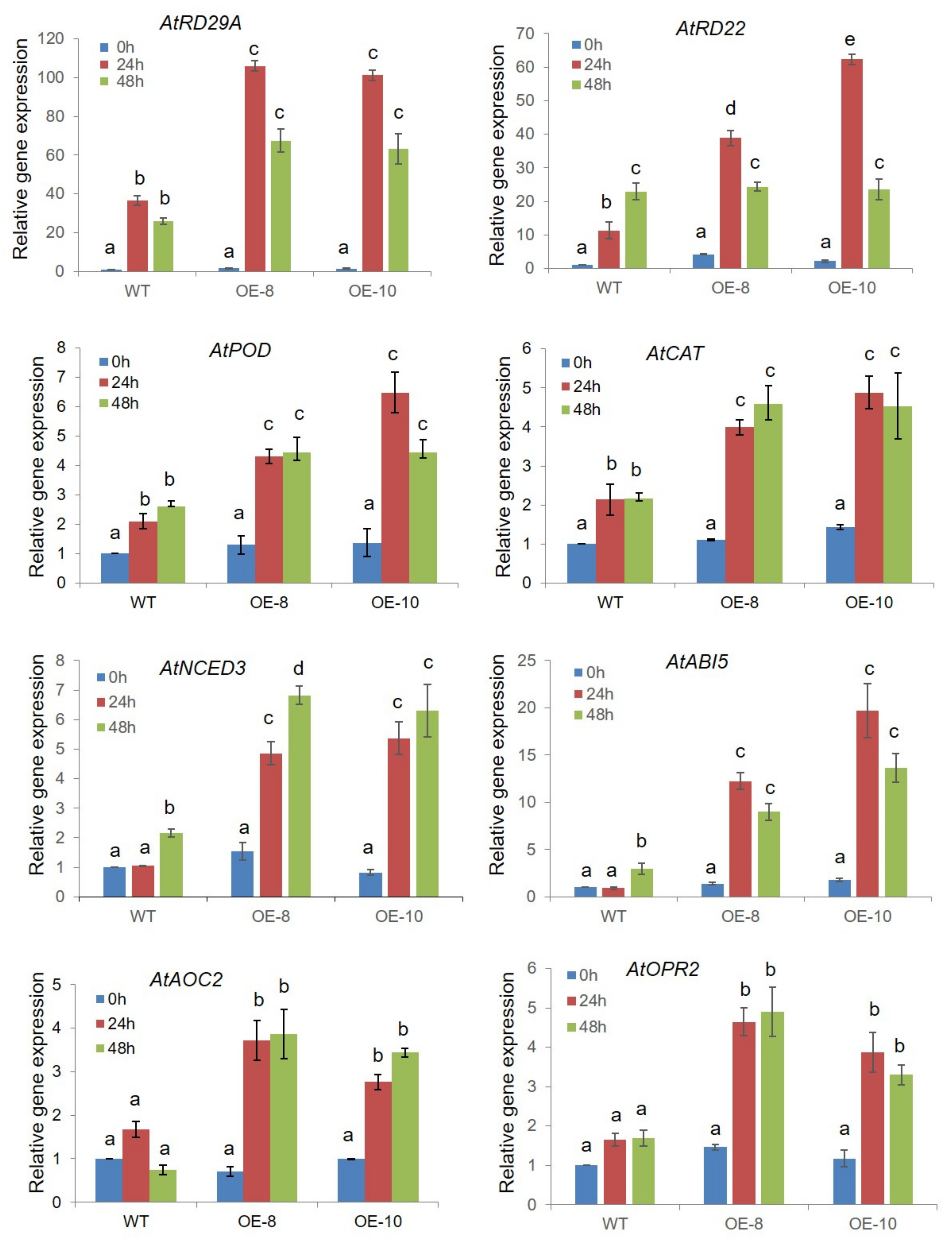 Ijms 22 10080 g007 550