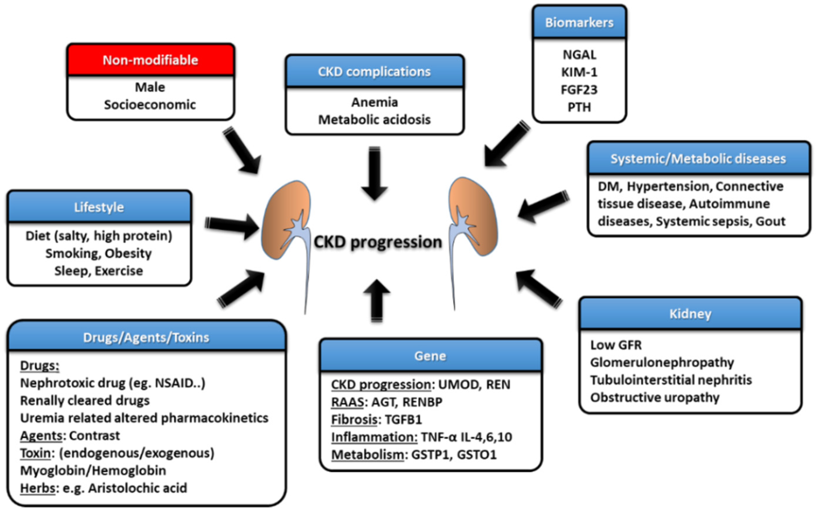 IJMS Free FullText Chronic Kidney Disease Strategies to Retard