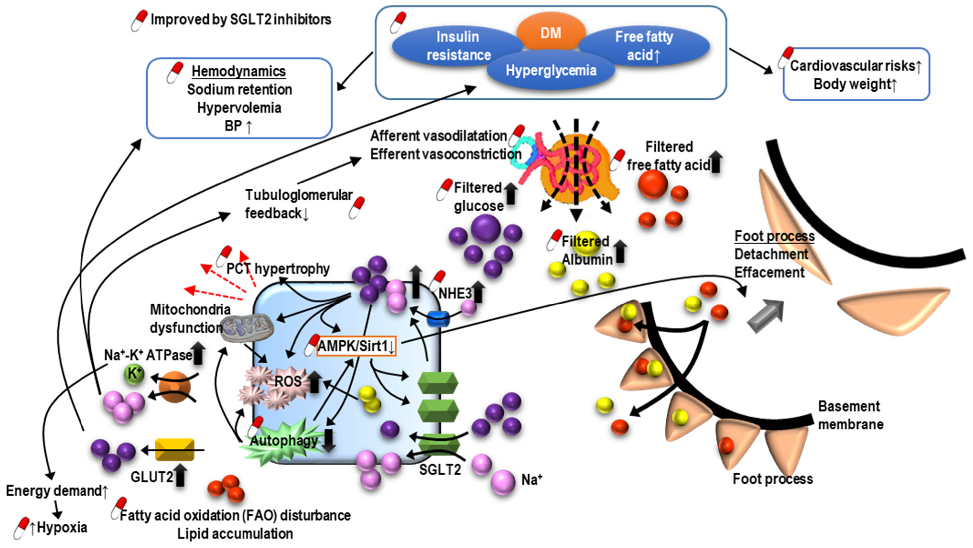 Ijms 22 10084 g003 Ijms 22 10084 g003