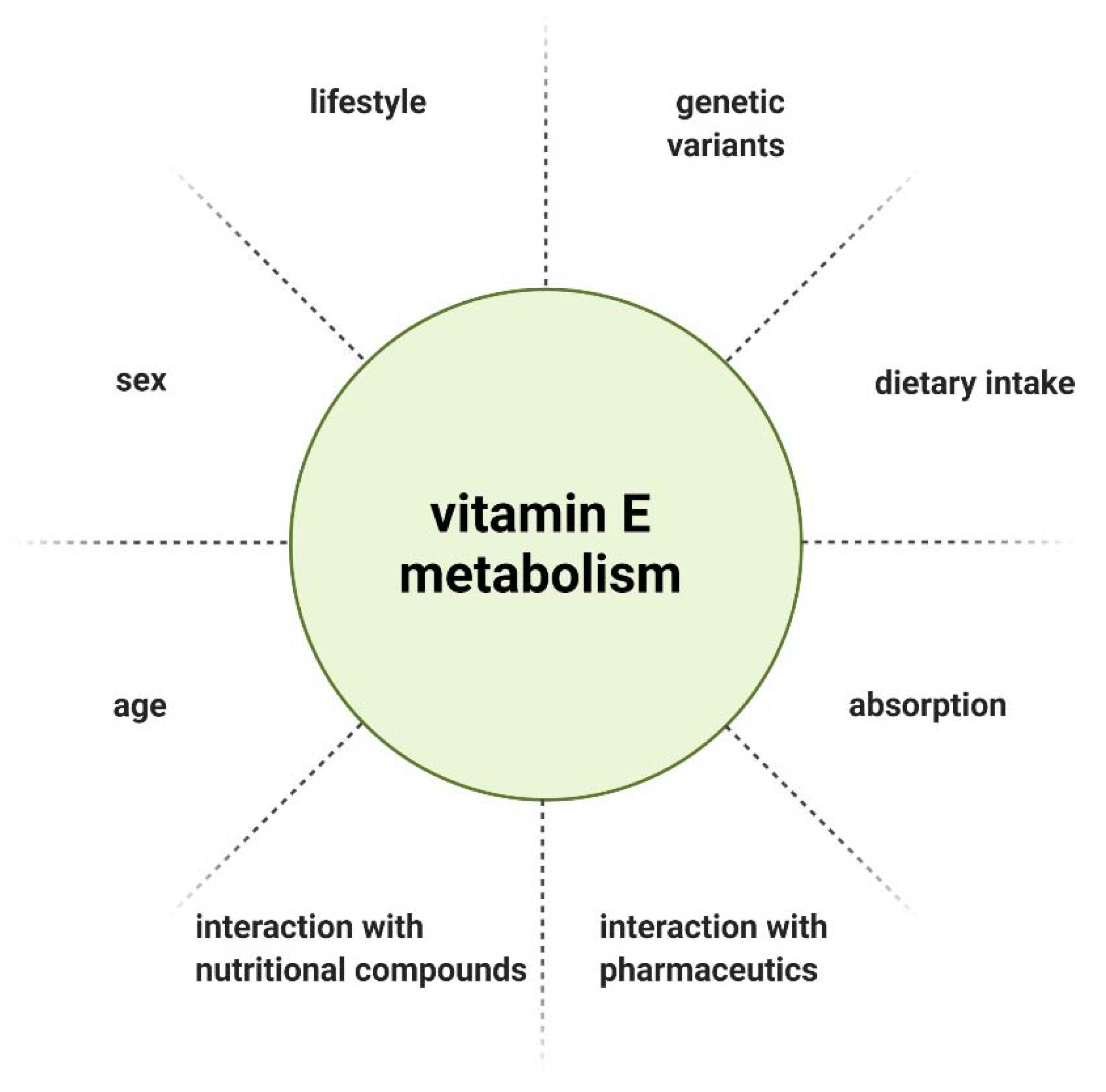 Ijms 22 10087 g003 Ijms 22 10087 g003