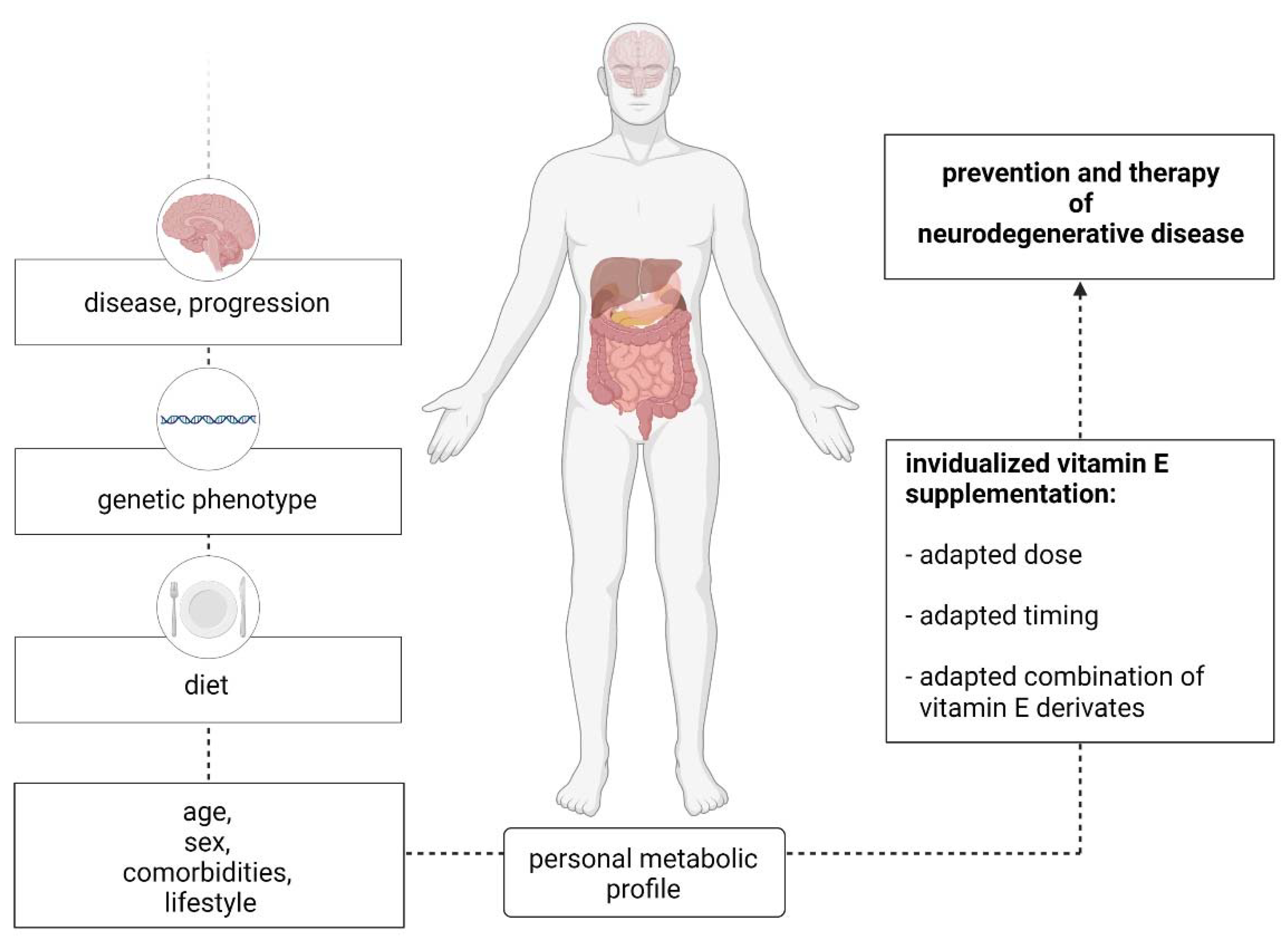 Ijms 22 10087 g004 Ijms 22 10087 g004