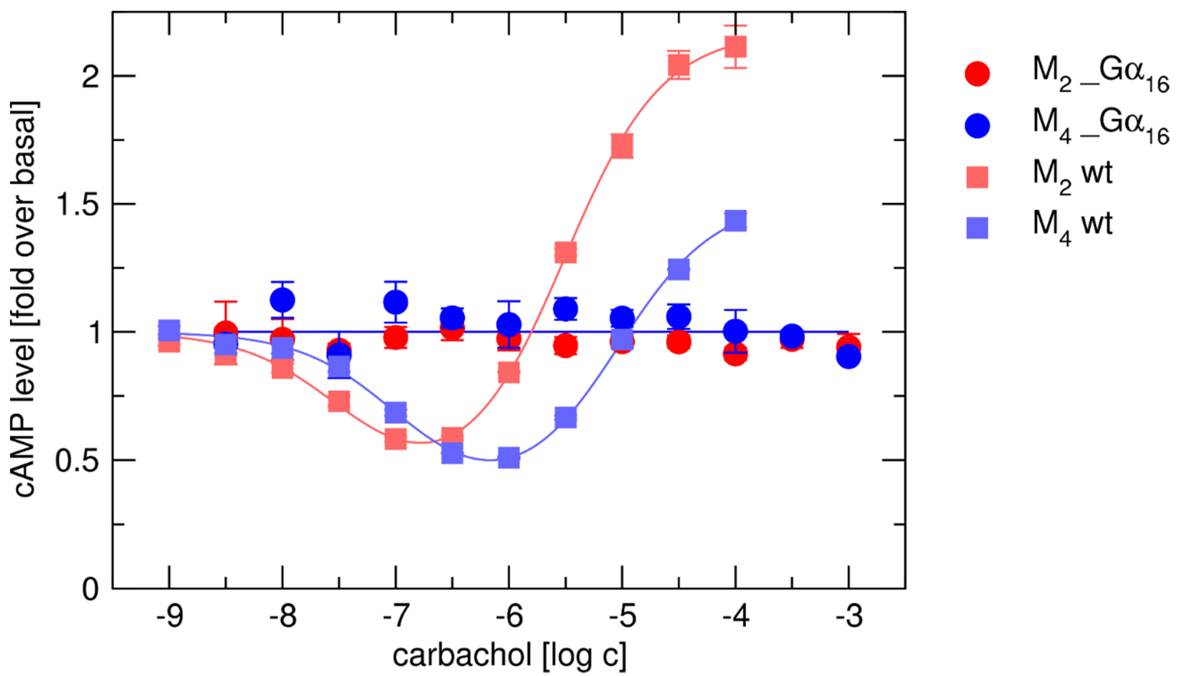 Ijms 22 10089 g002 Ijms 22 10089 g002