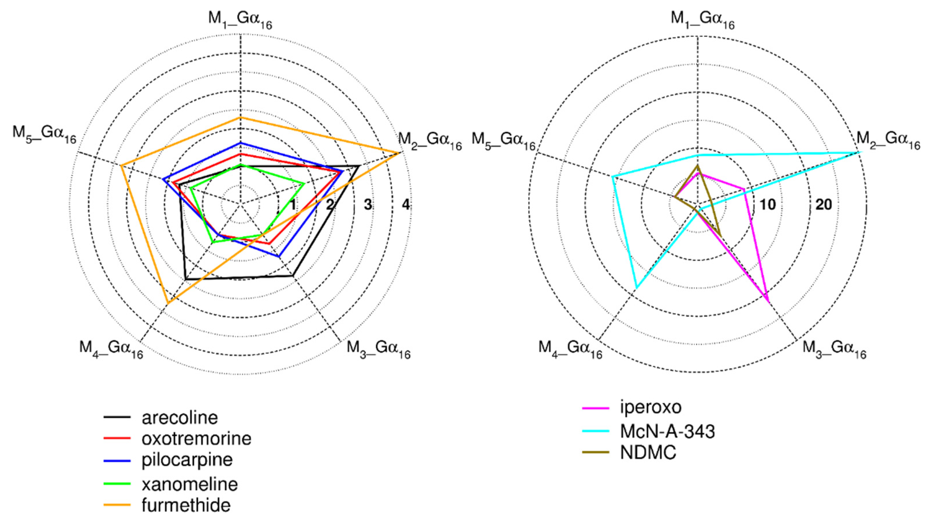 Ijms 22 10089 g003 Ijms 22 10089 g003
