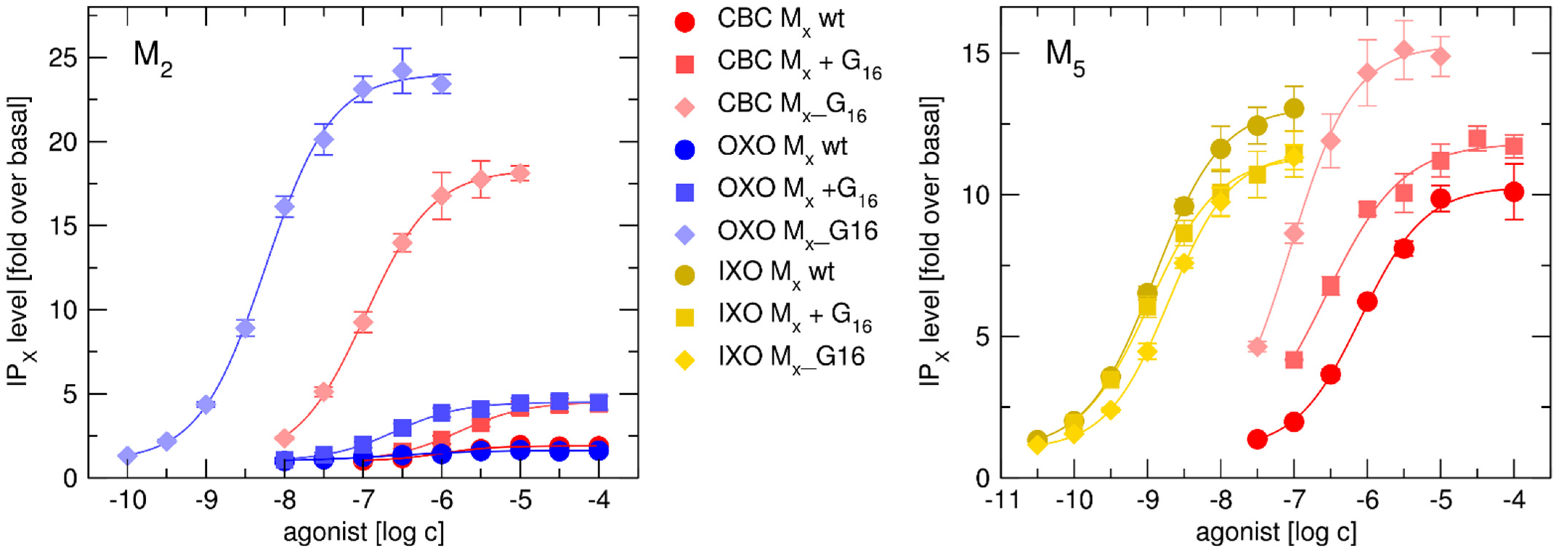 Ijms 22 10089 g004 Ijms 22 10089 g004