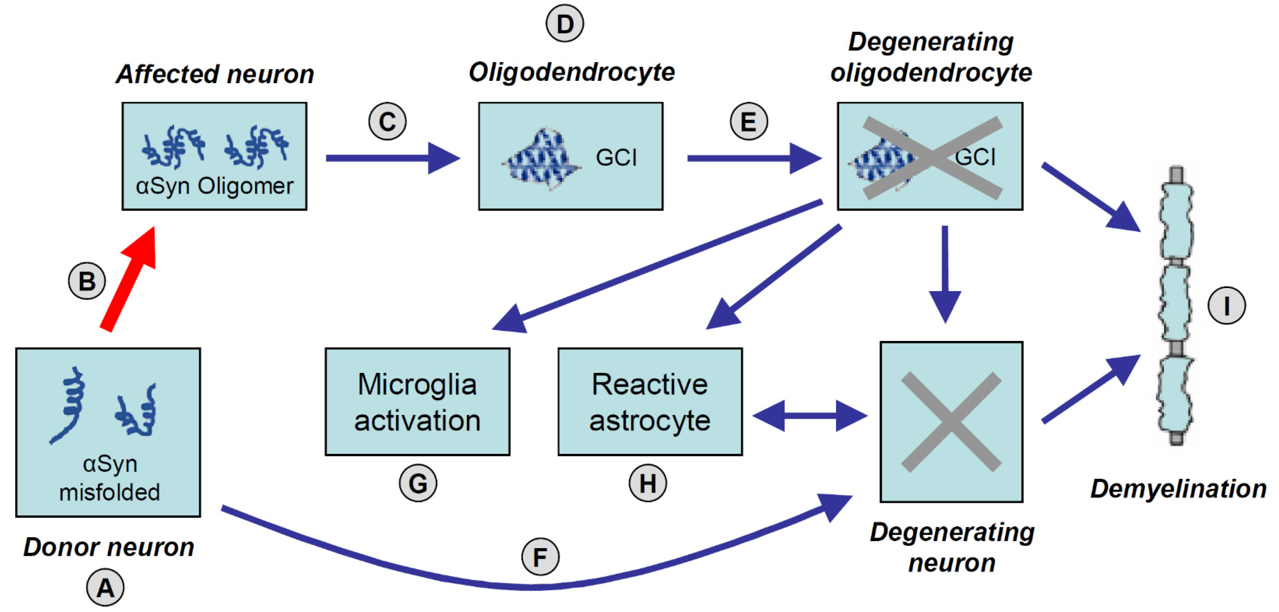 The structures of the MSA block, post-activation and pre-activation.