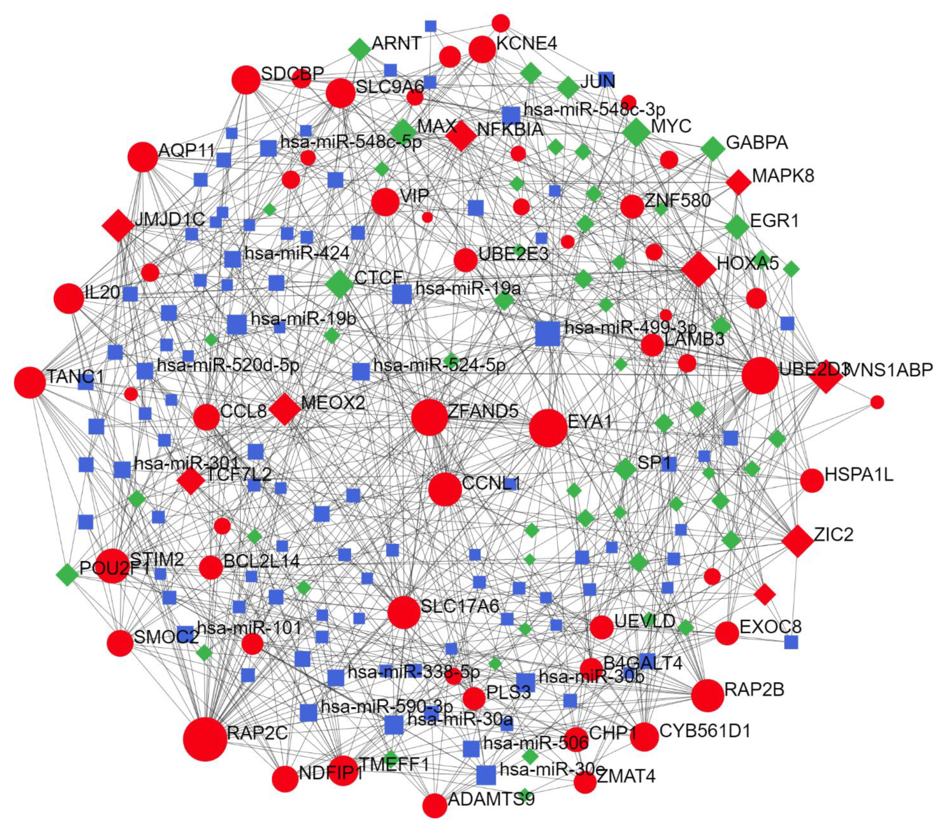 Ijms 22 10094 g003 550