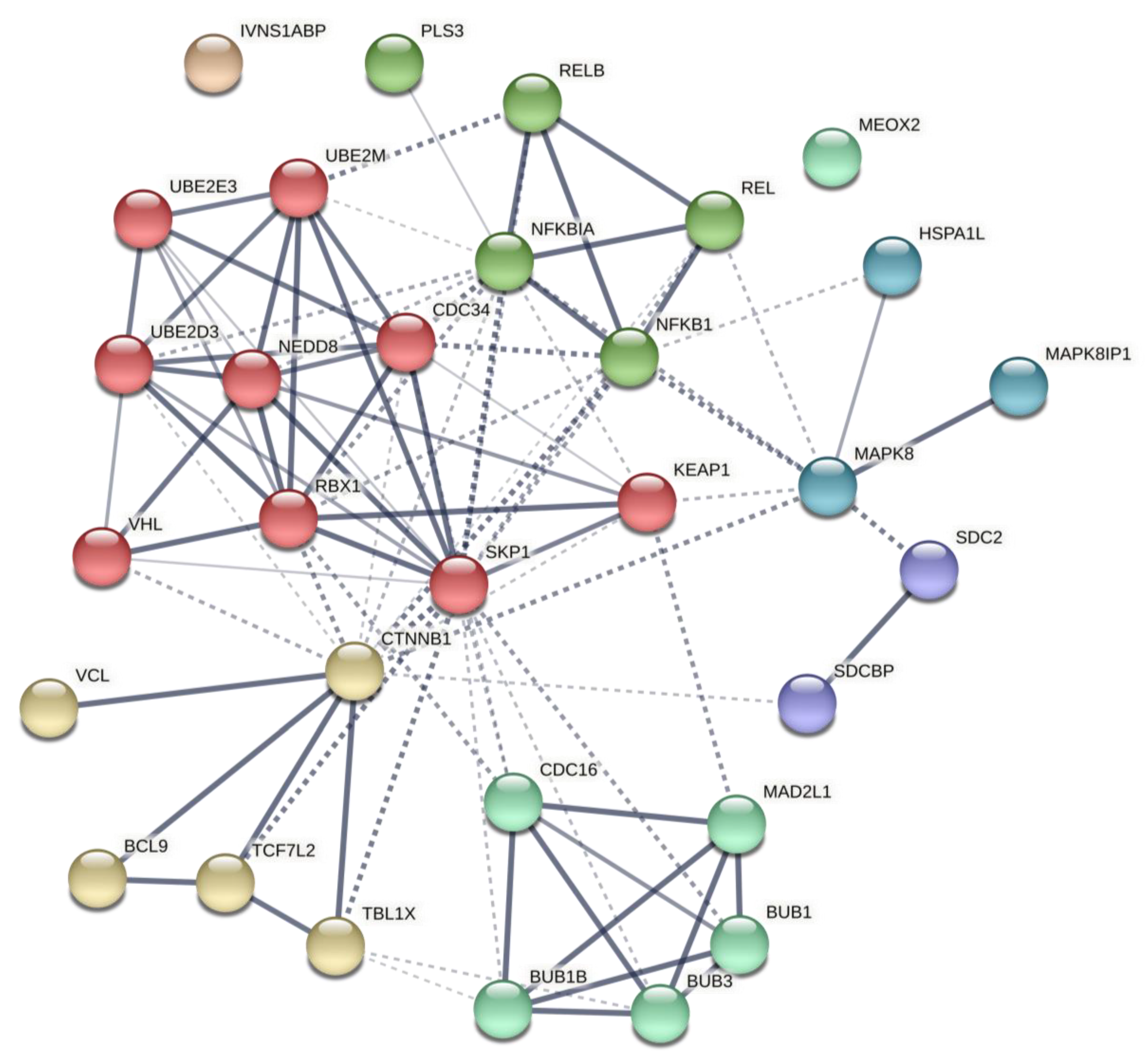 Ijms 22 10094 g004 550