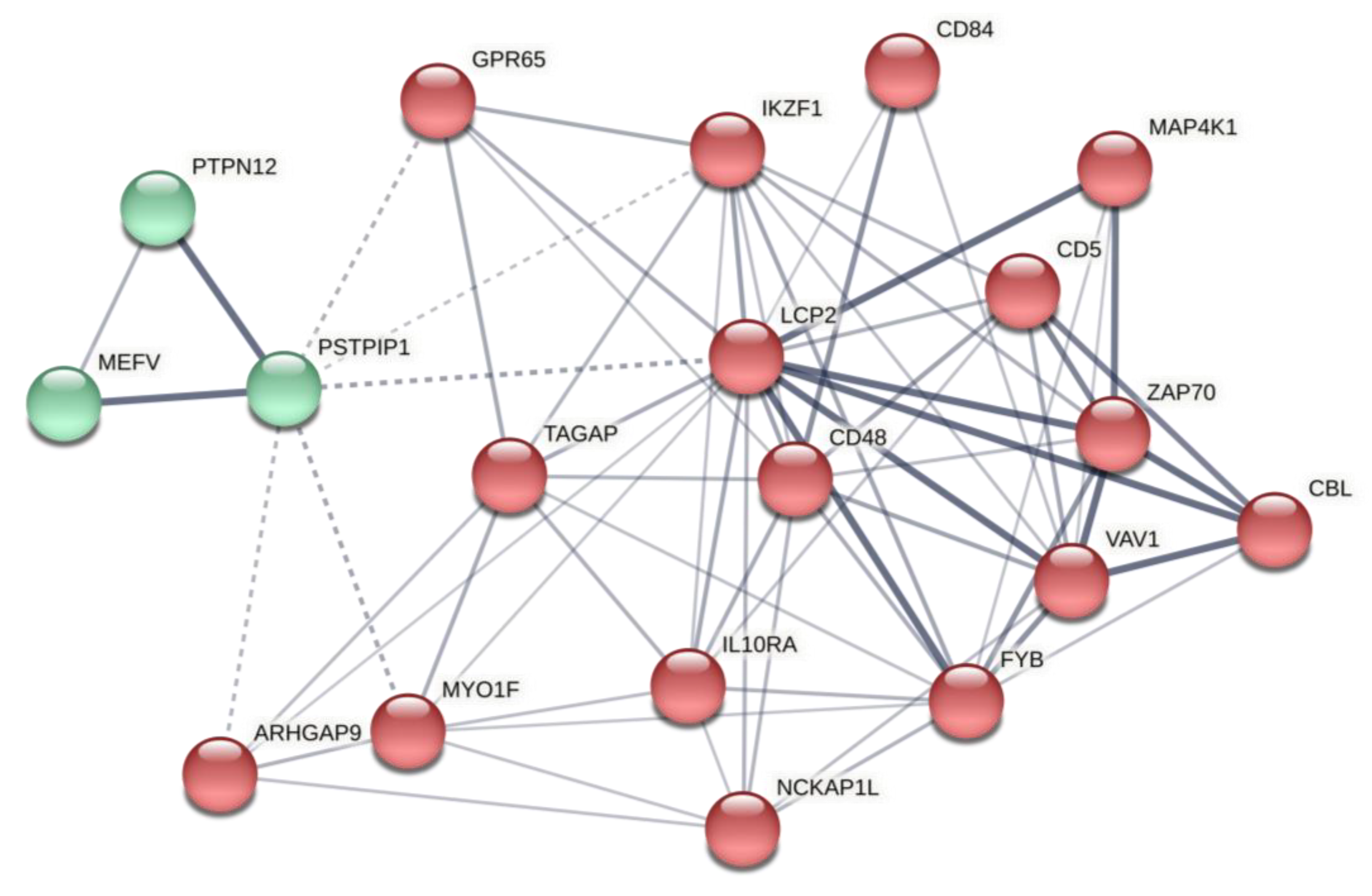 Ijms 22 10094 g005 550