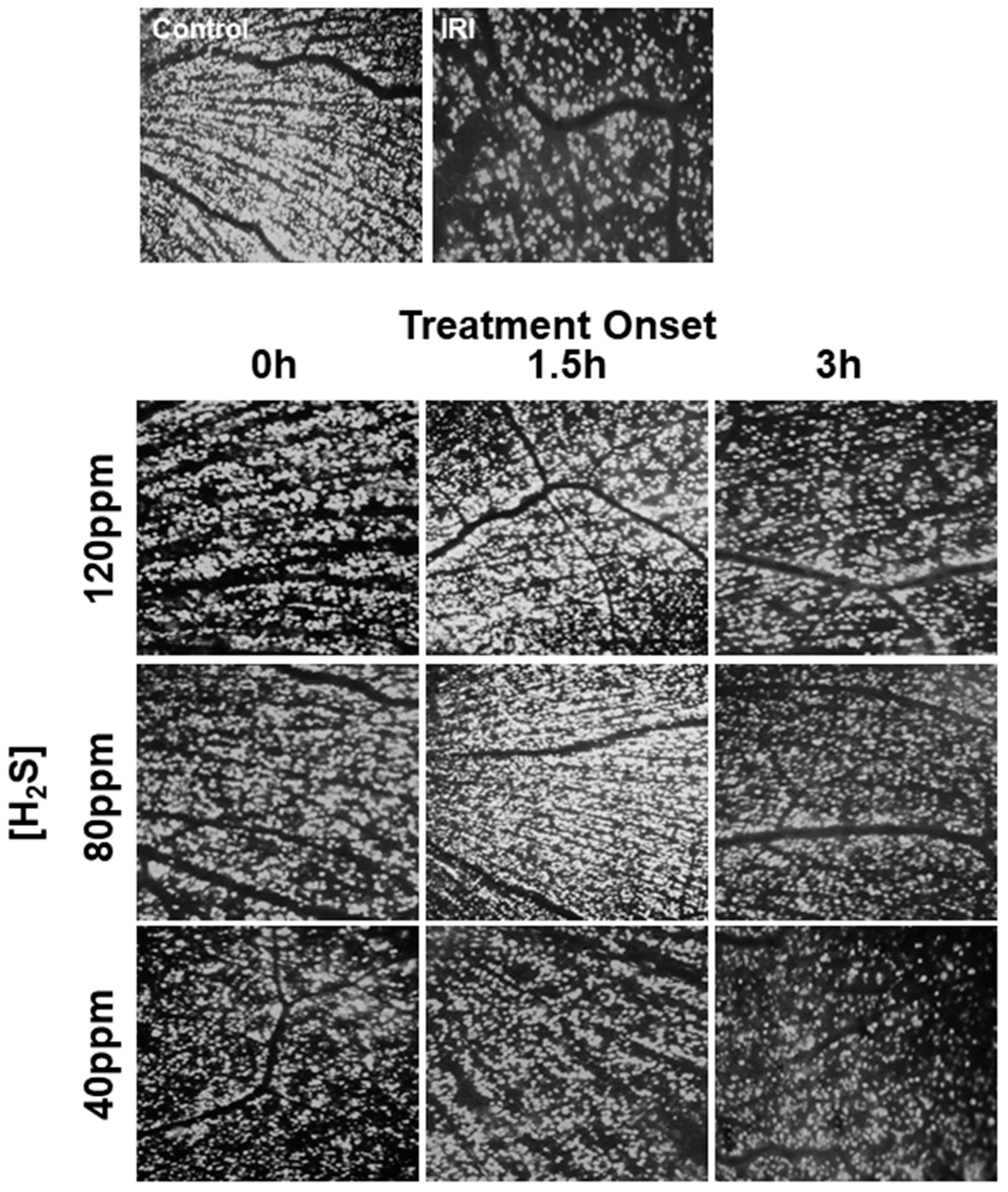 Ijms 22 10099 g002 550