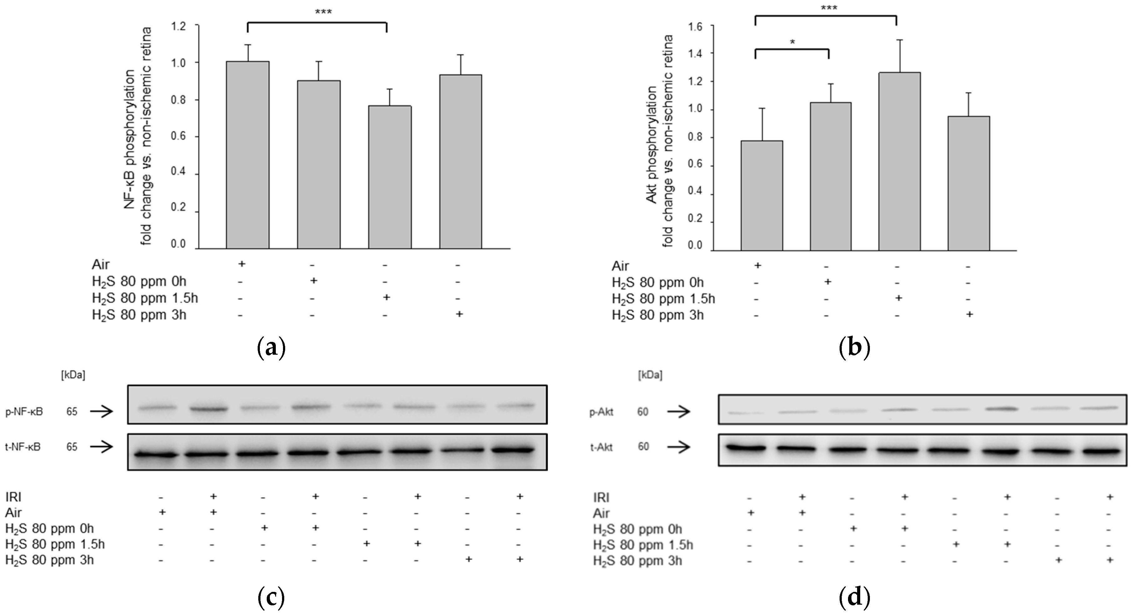 Ijms 22 10099 g009 550