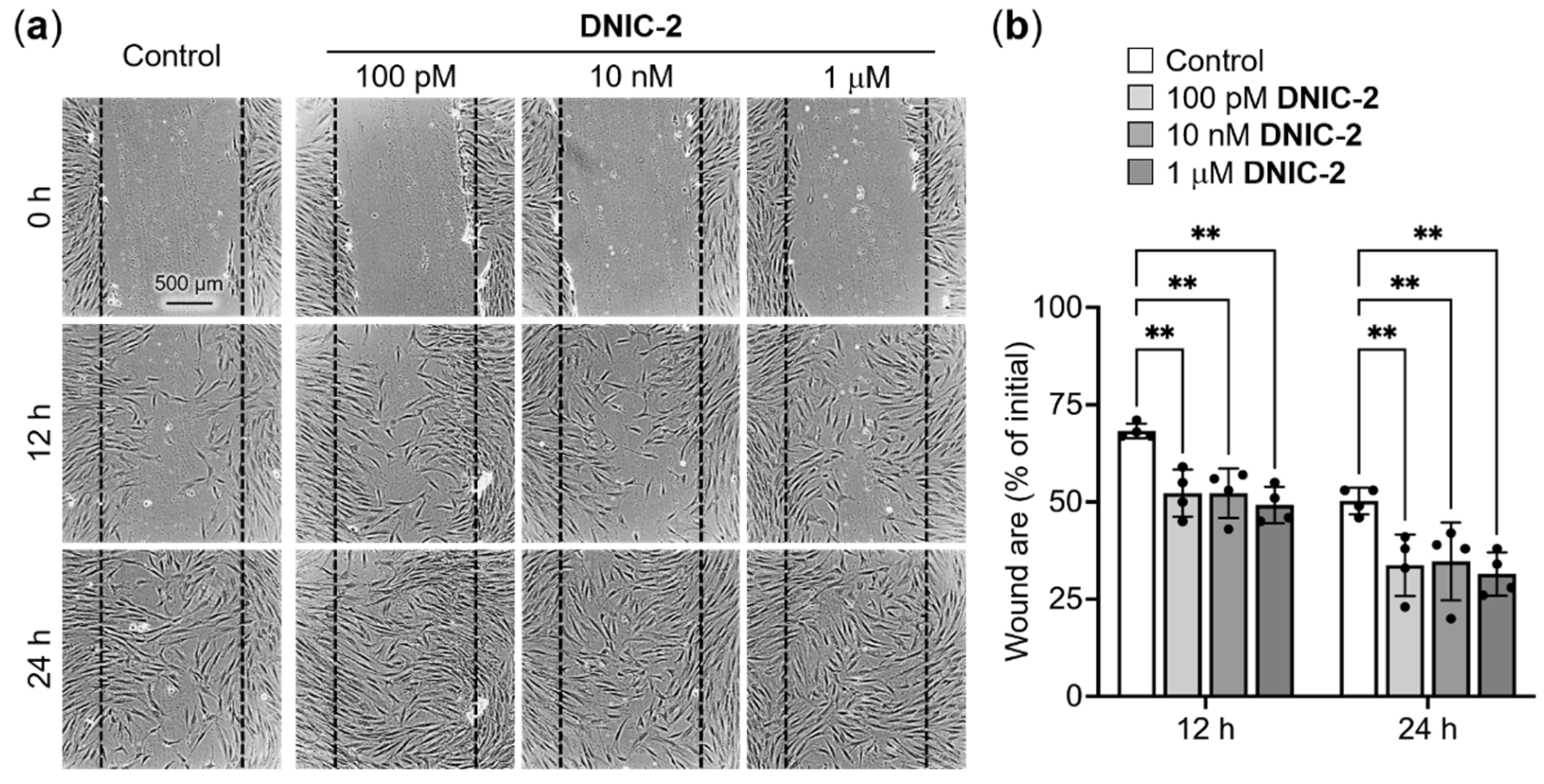 Ijms 22 10101 g004 550