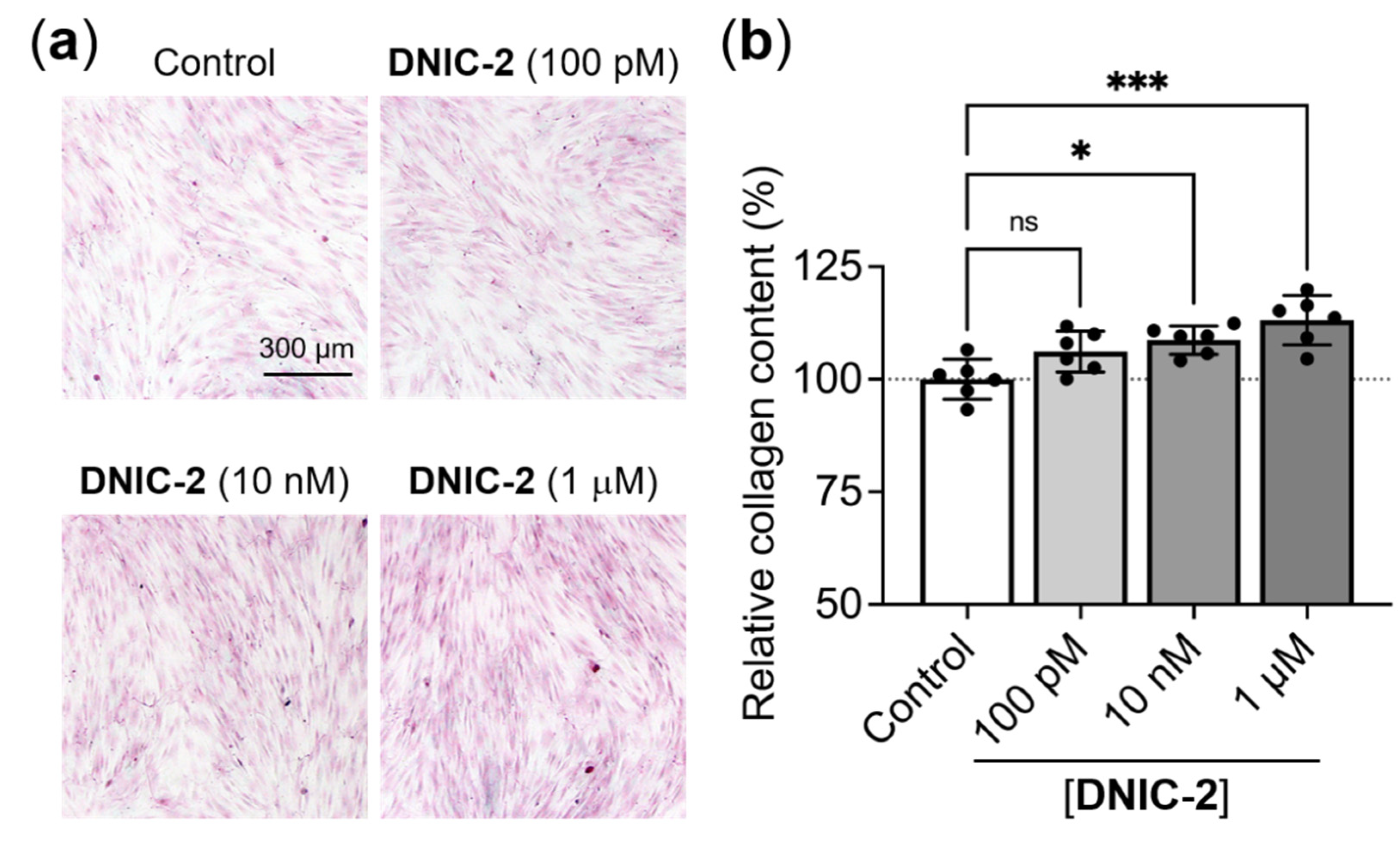 Ijms 22 10101 g005 550