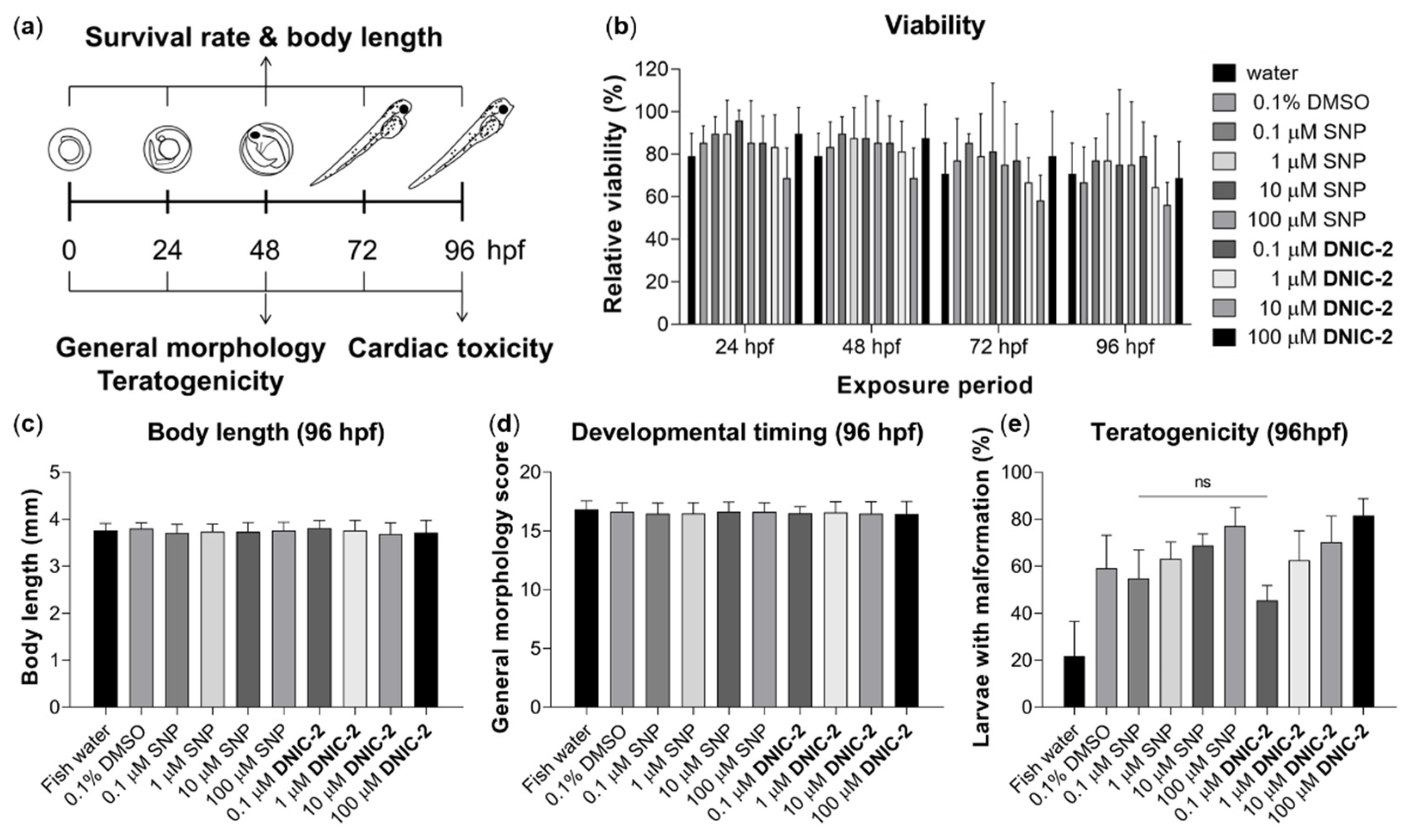 Ijms 22 10101 g008 550