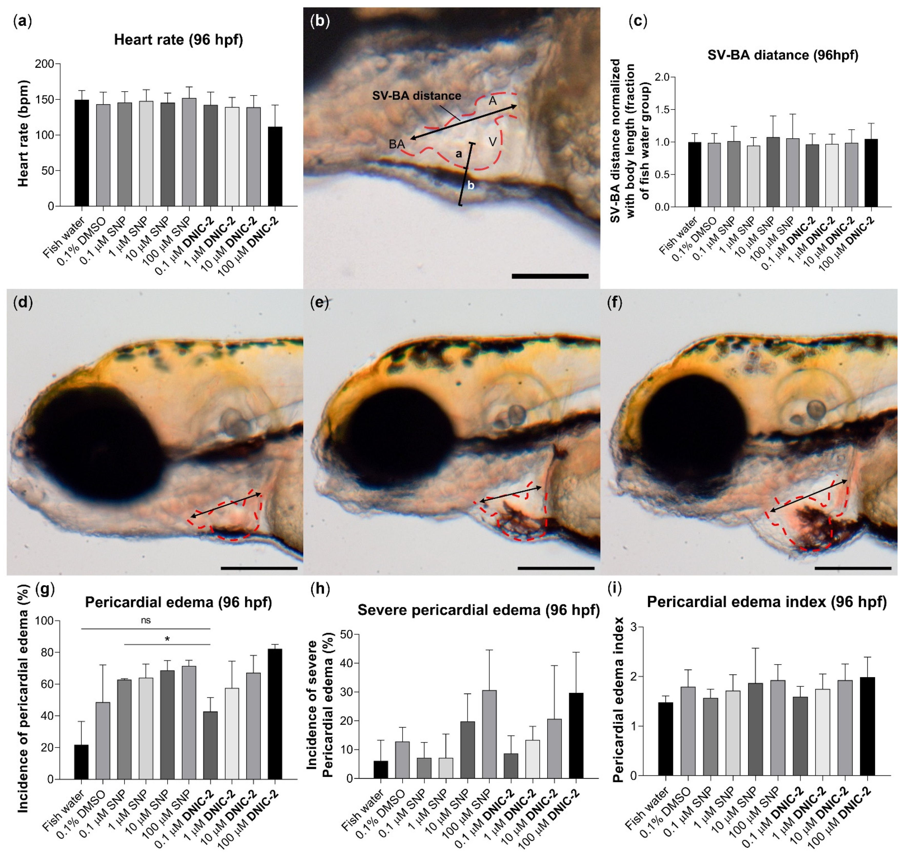 Ijms 22 10101 g009 550