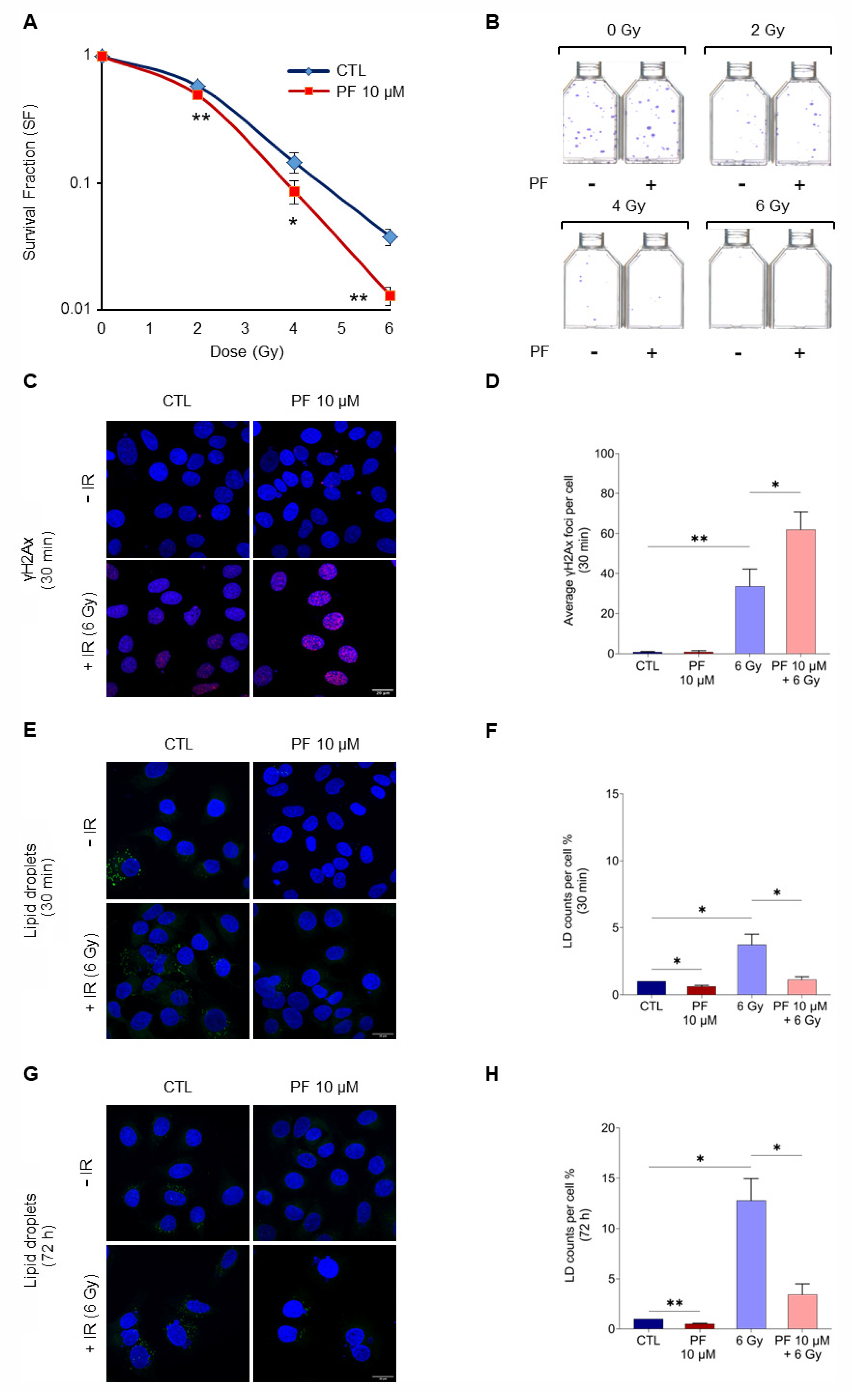 Ijms 22 10102 g002 550