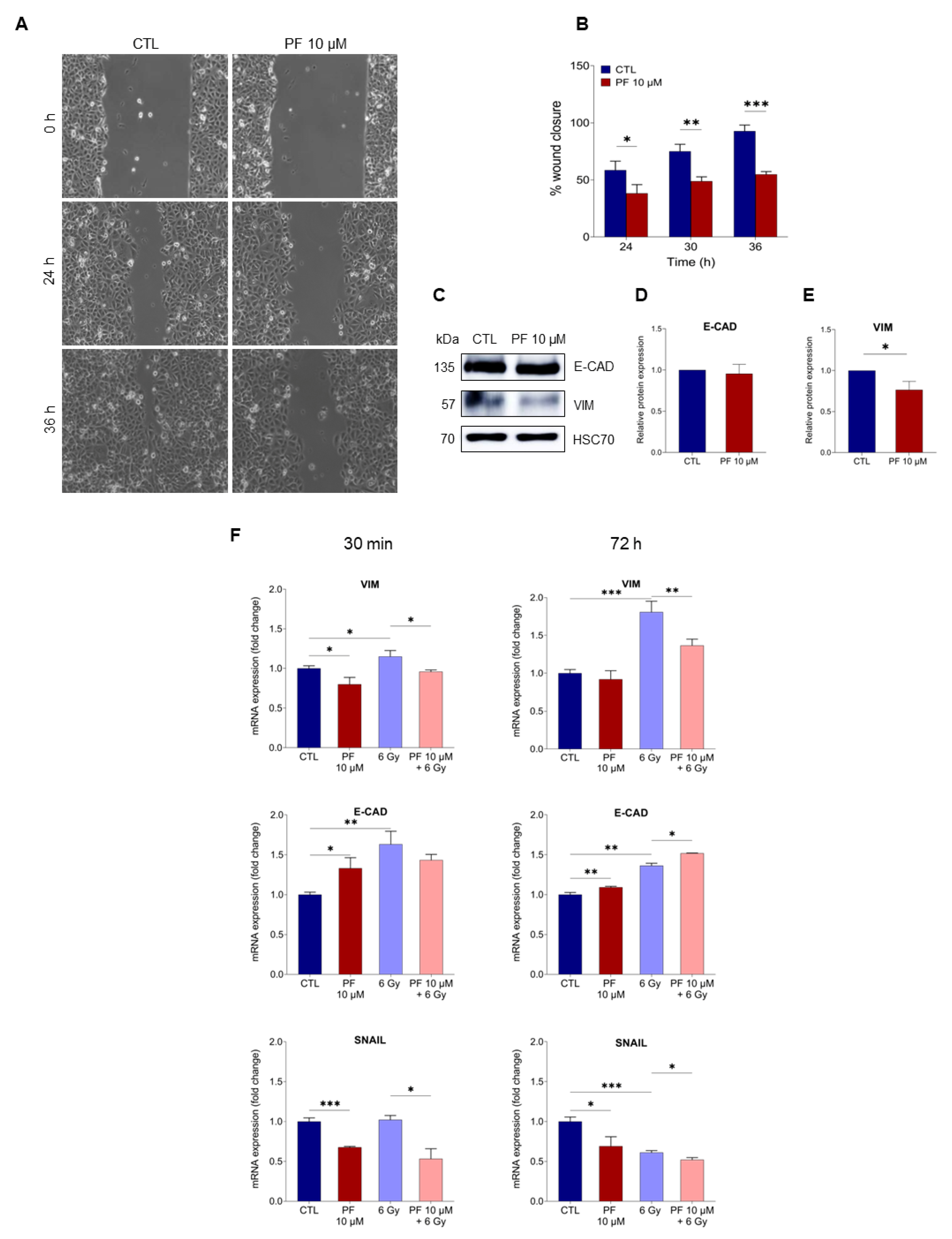 Ijms 22 10102 g004 550