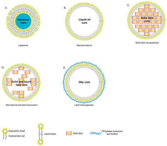 【K】 Striking Back against Fungal Infections: The Utilization of
