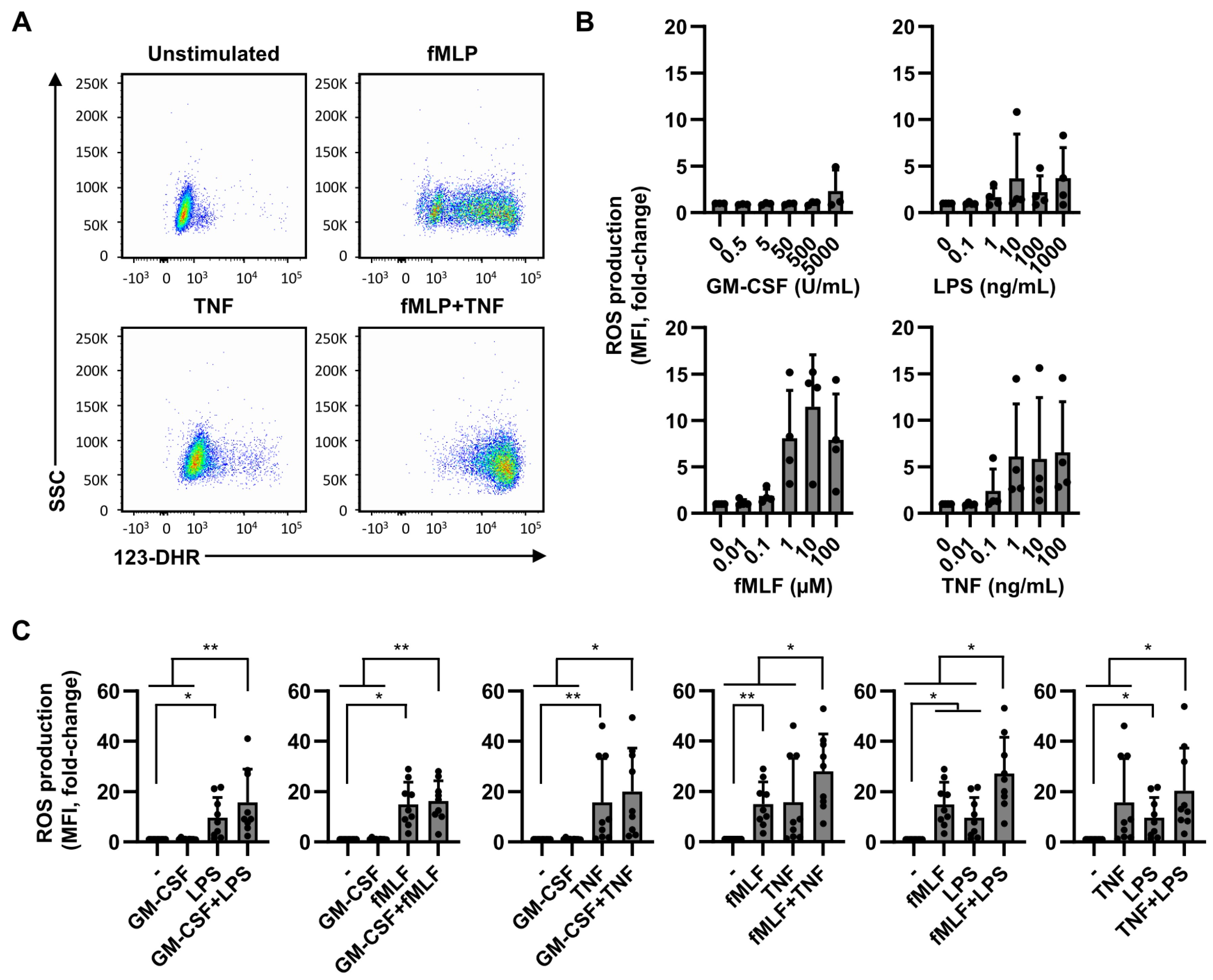 Ijms 22 10106 g003 550