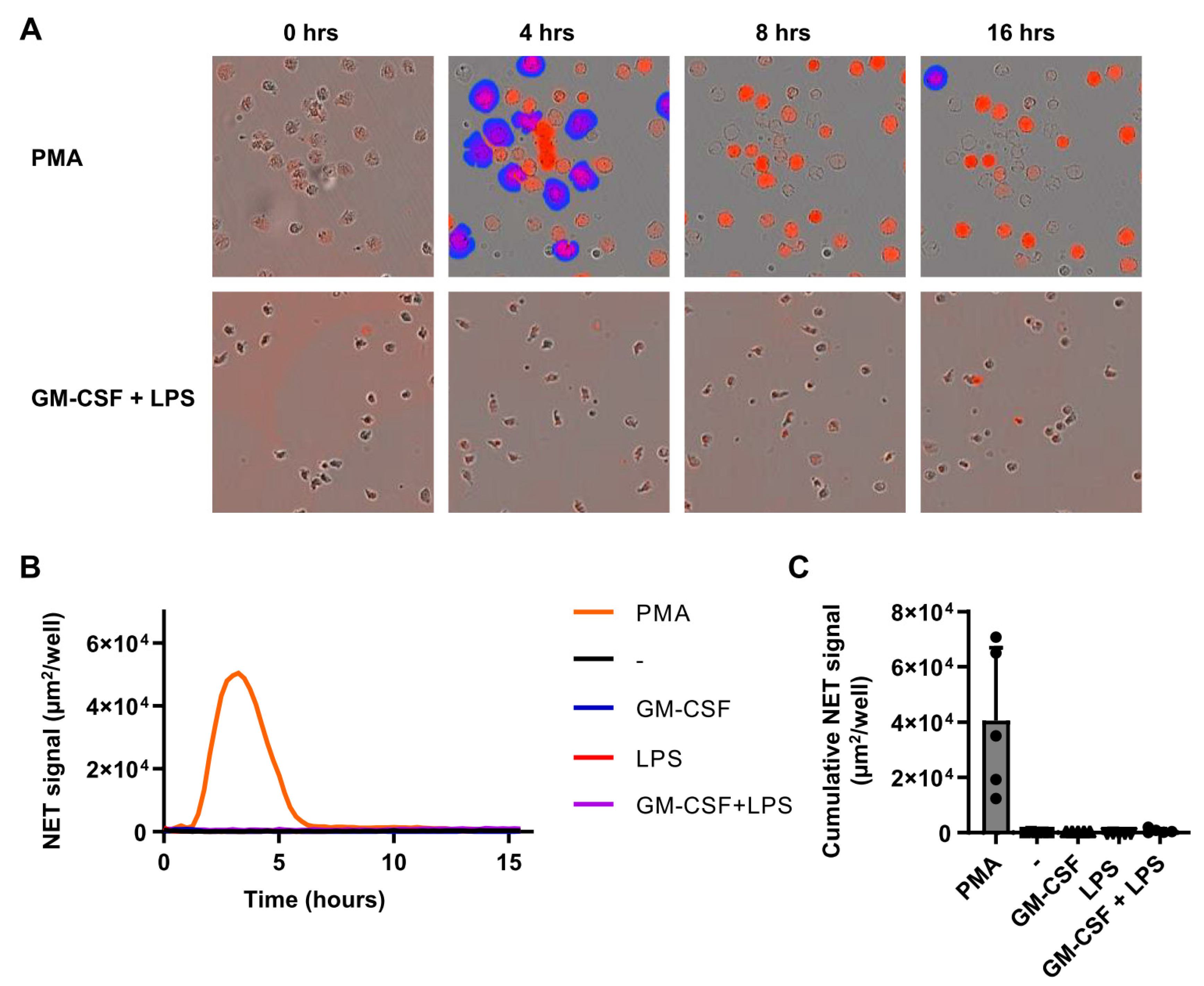 Ijms 22 10106 g004 550